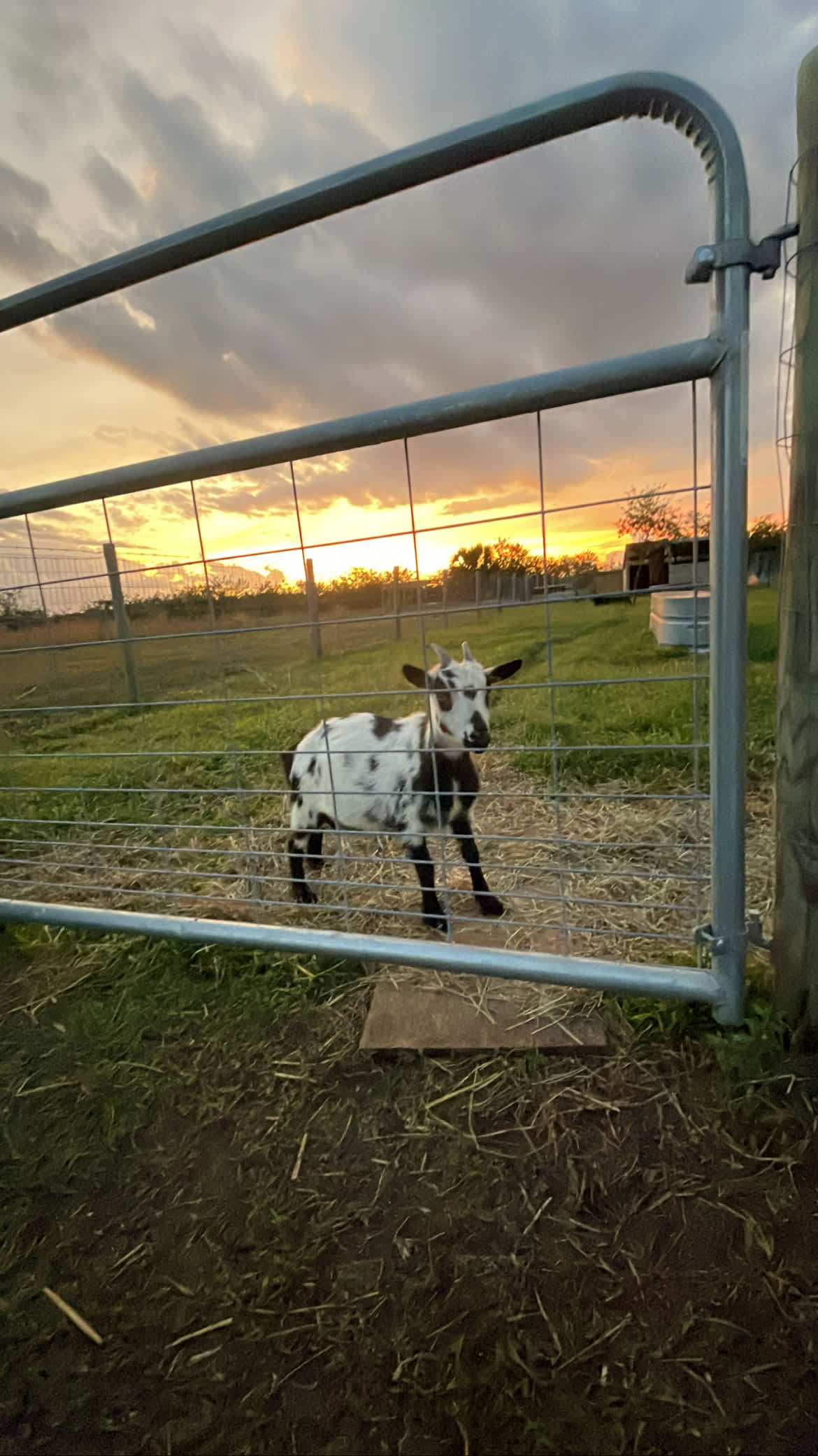 Farm Retreat