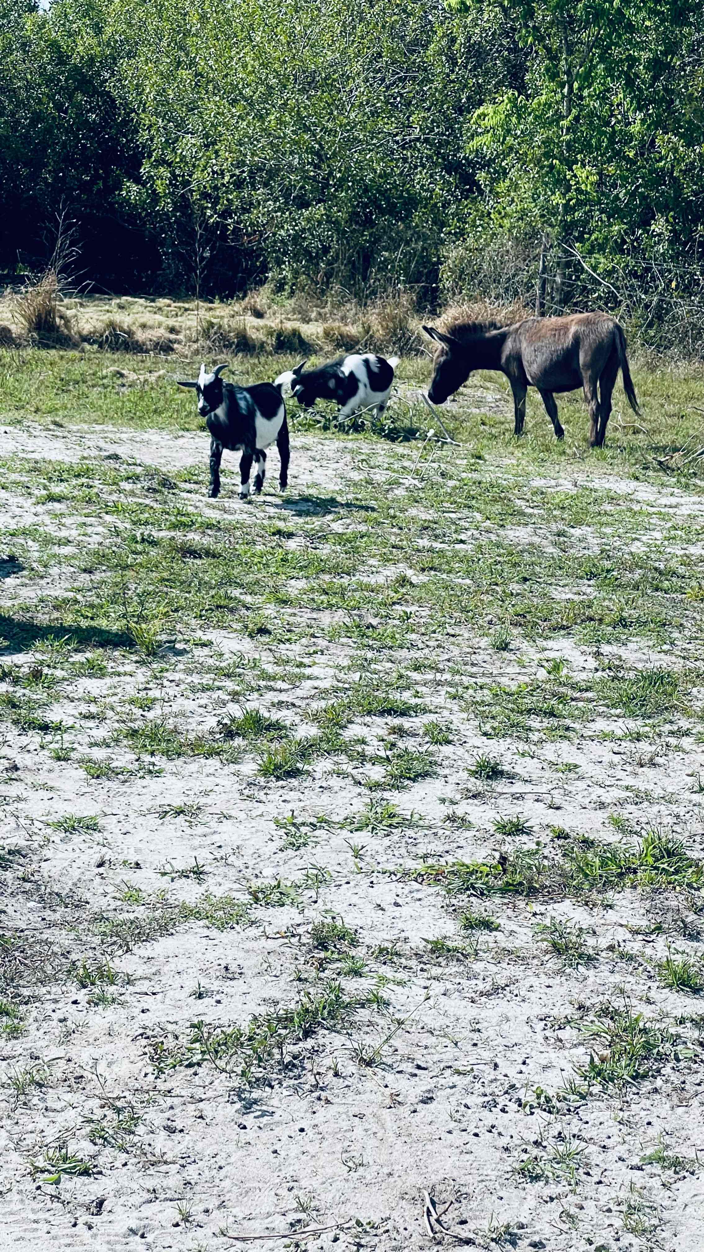 Farm Retreat