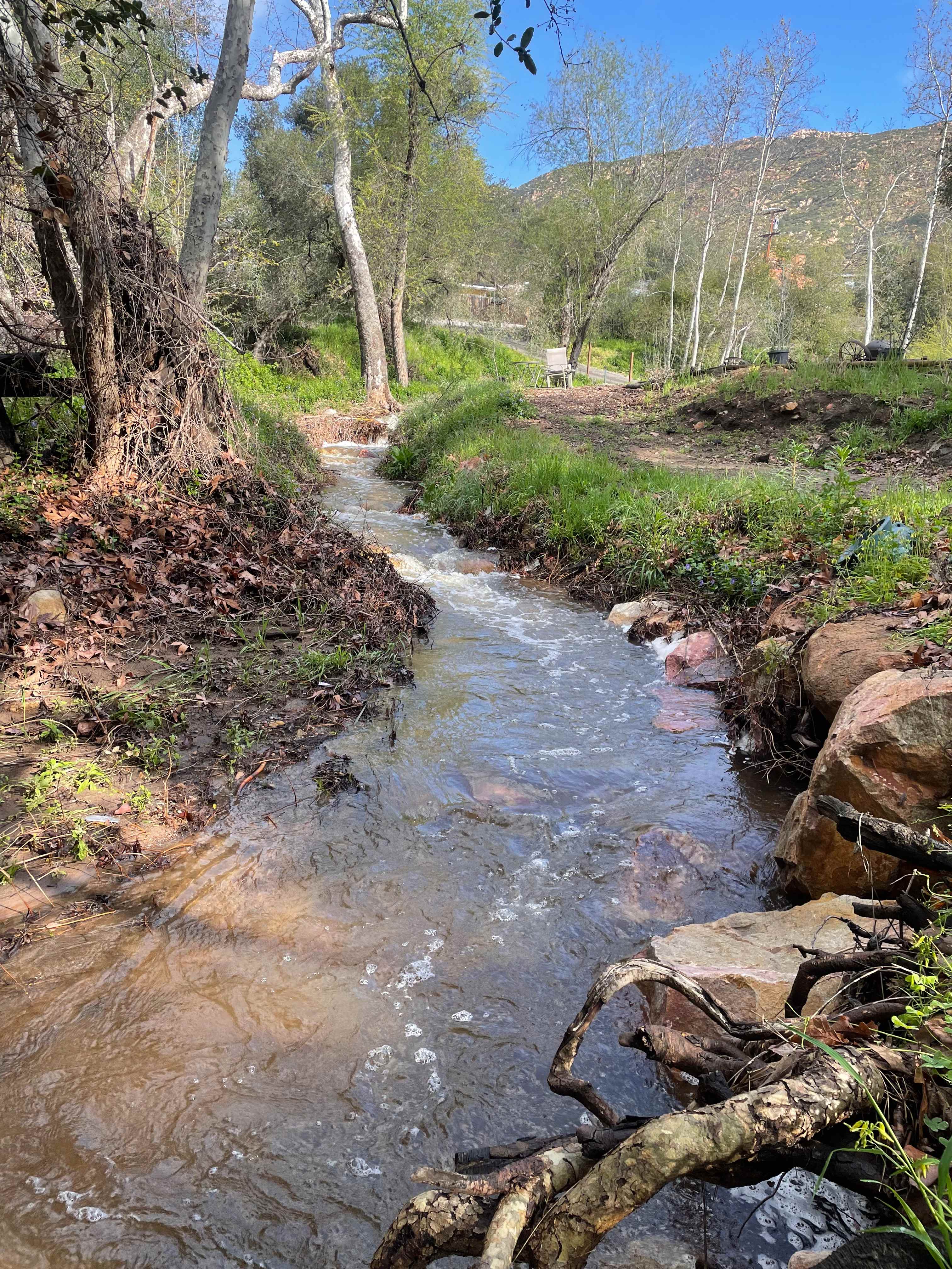 Creek during rainy season 