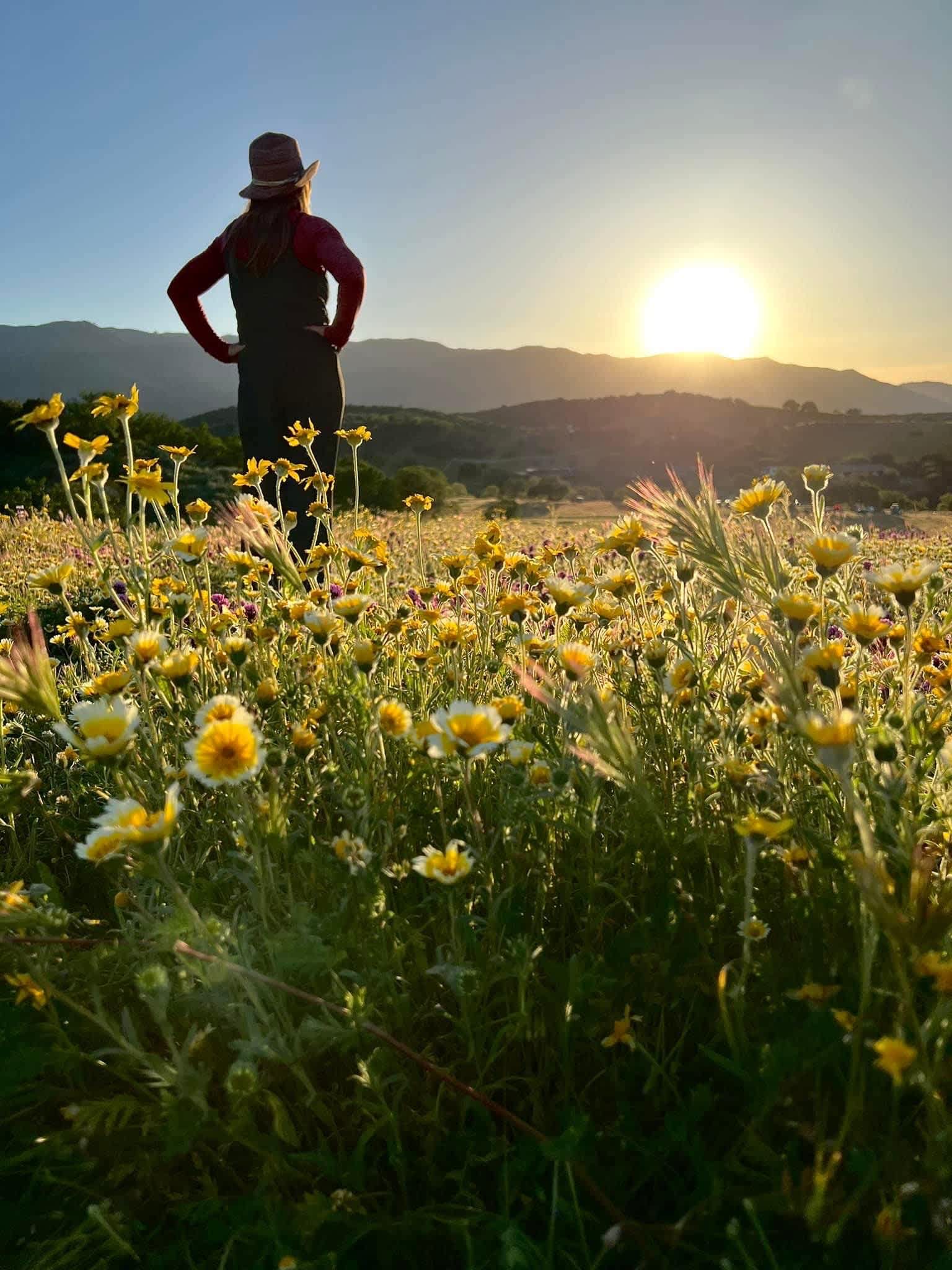 -G Ranch