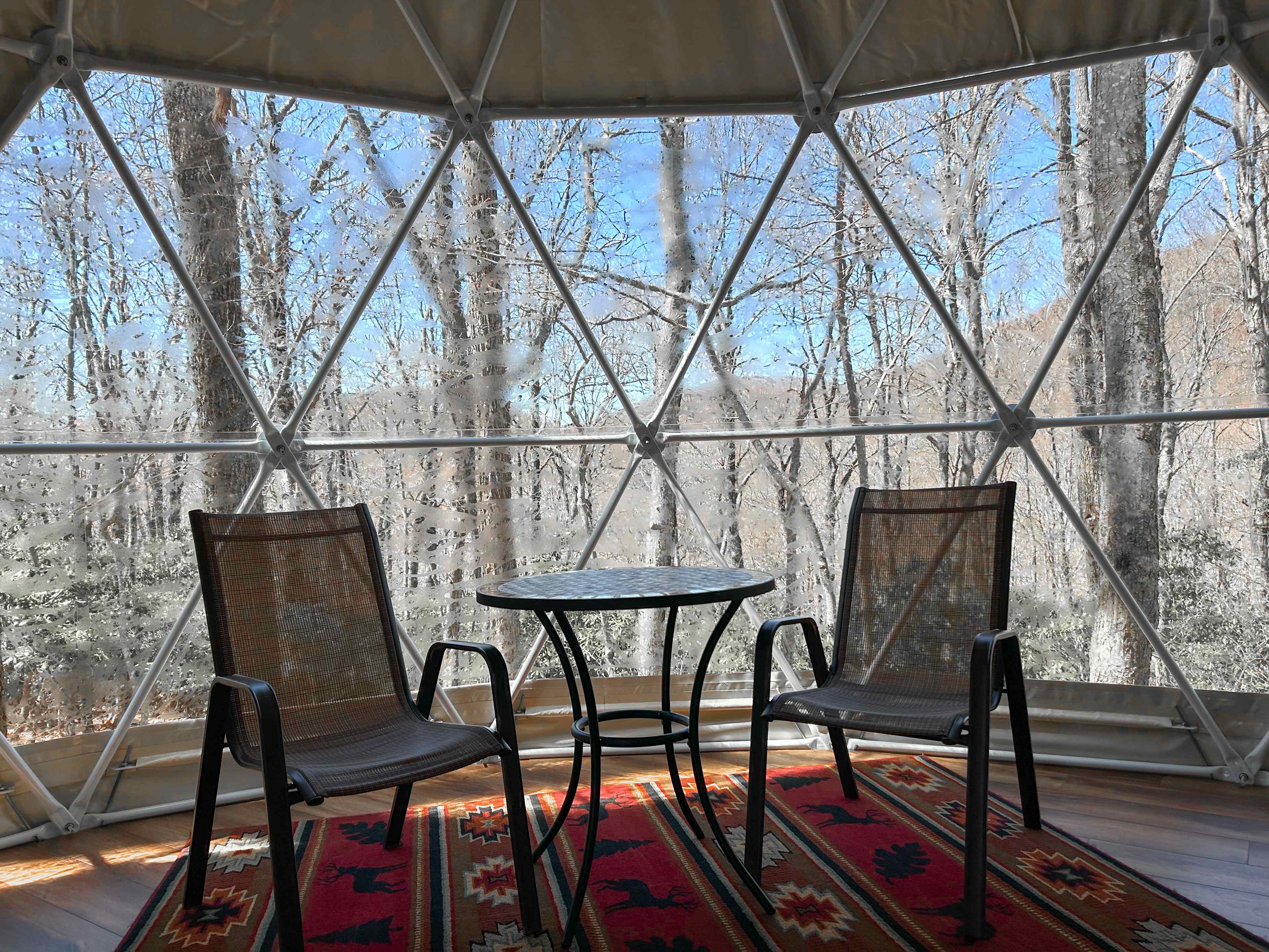 Blue Bear Mountain Camp