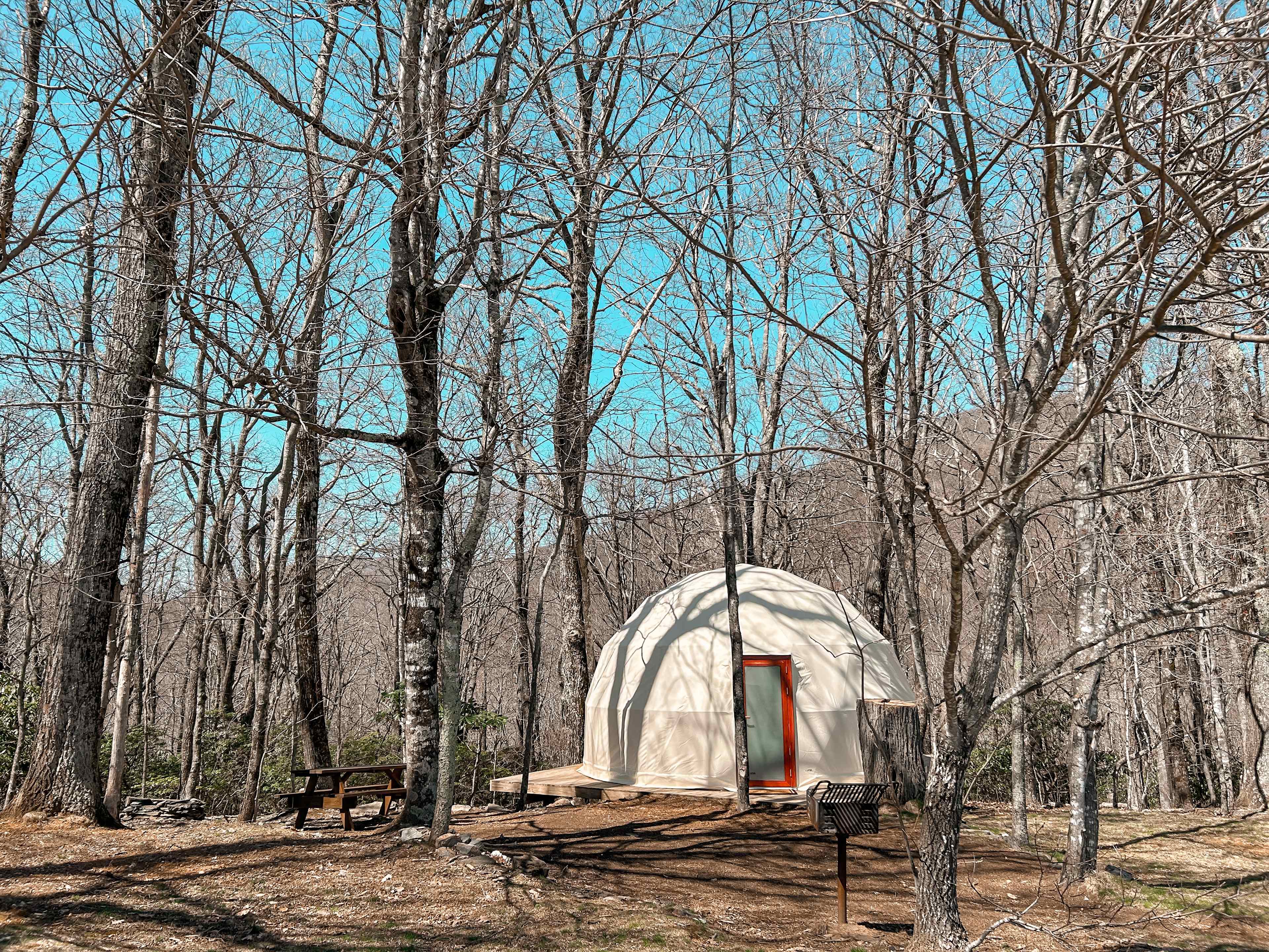 Blue Bear Mountain Camp