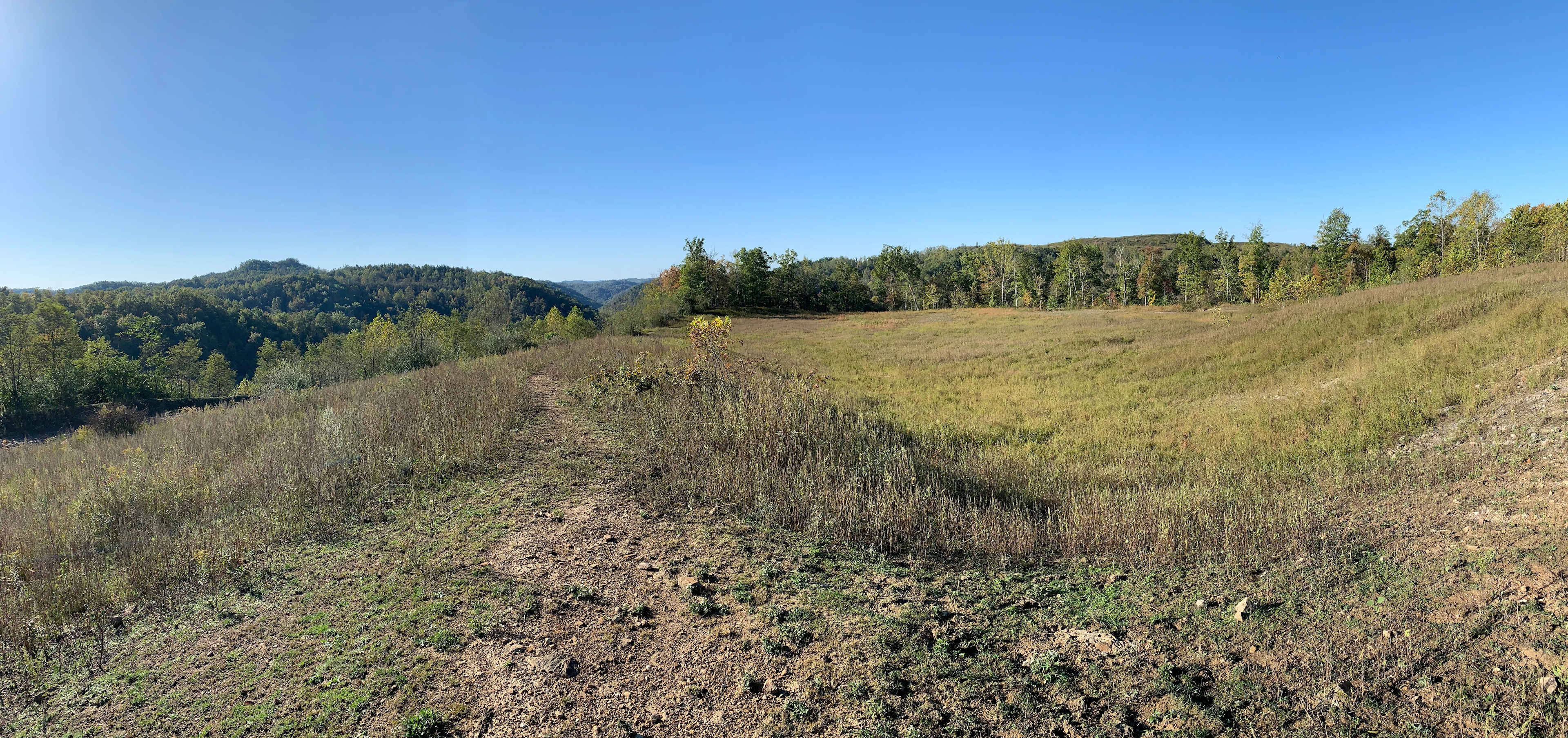 Mountain Spirit Ranch