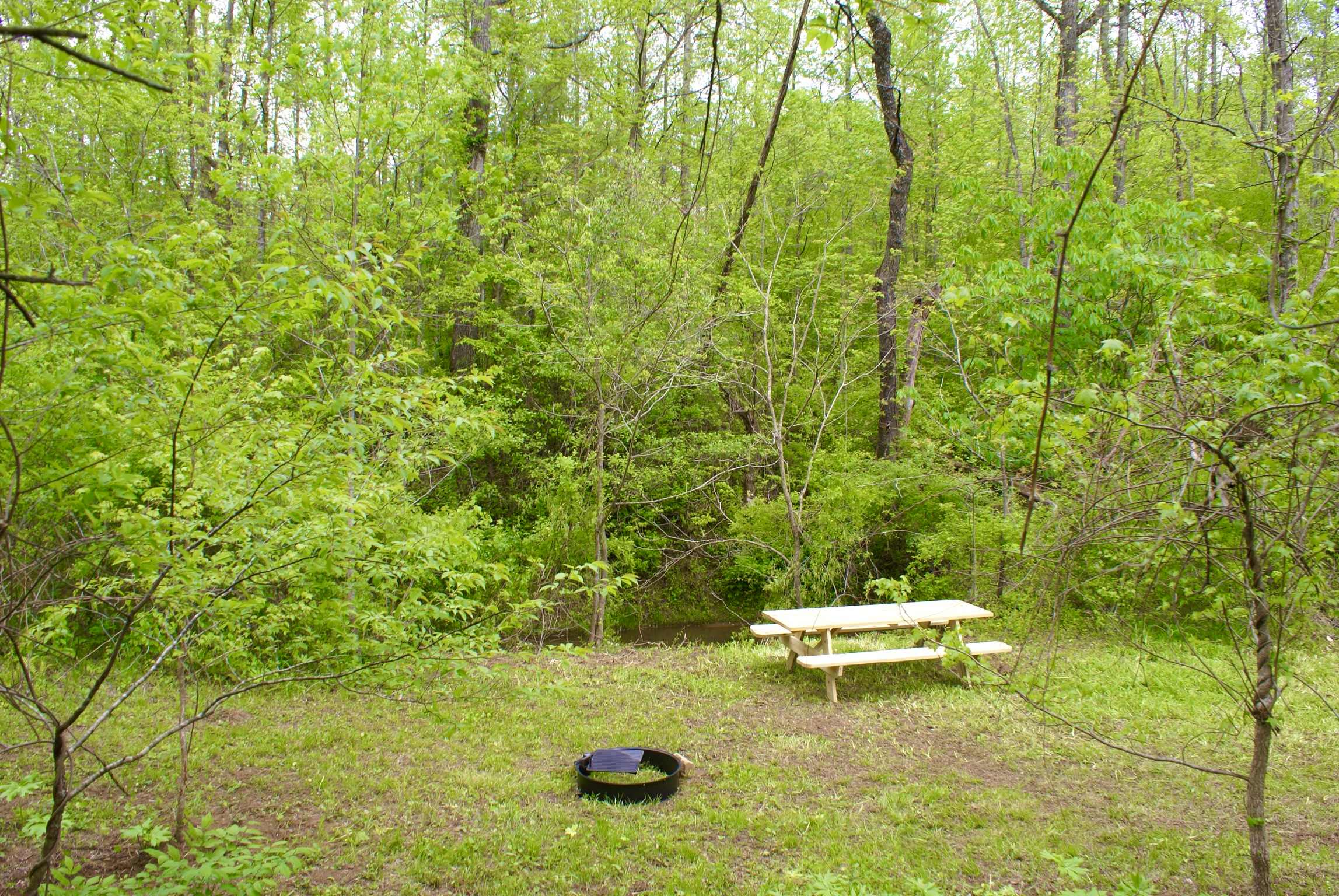 Picture of the site