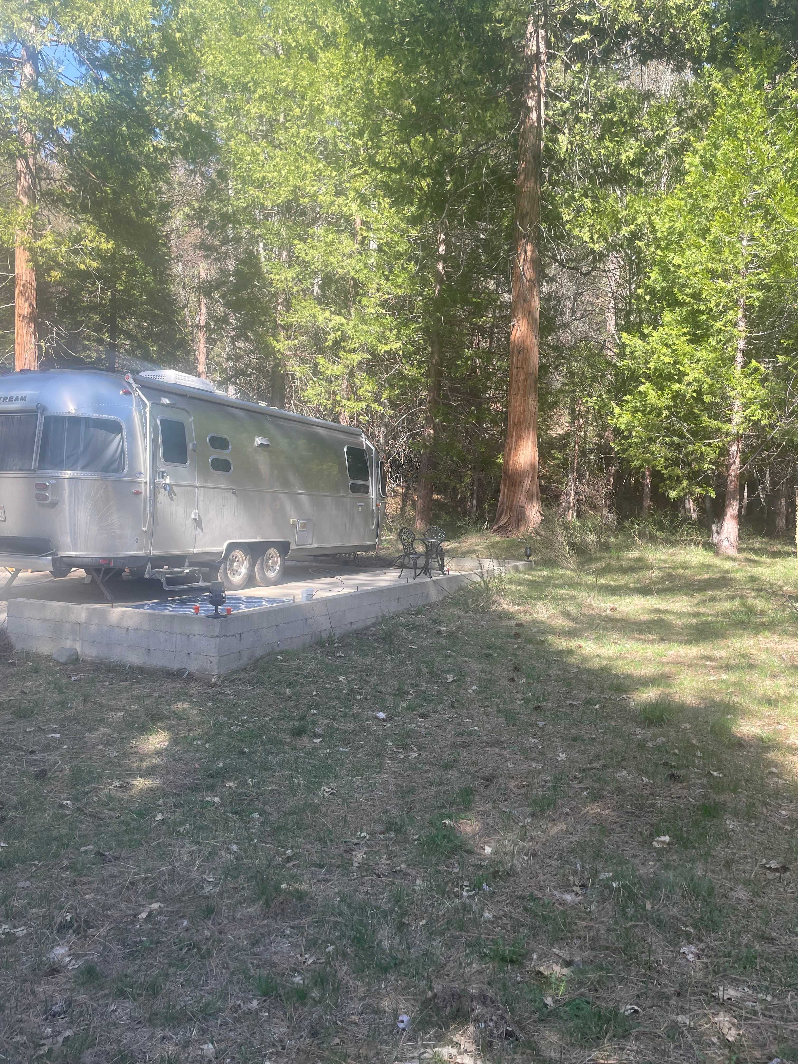 Airstream in the Forest