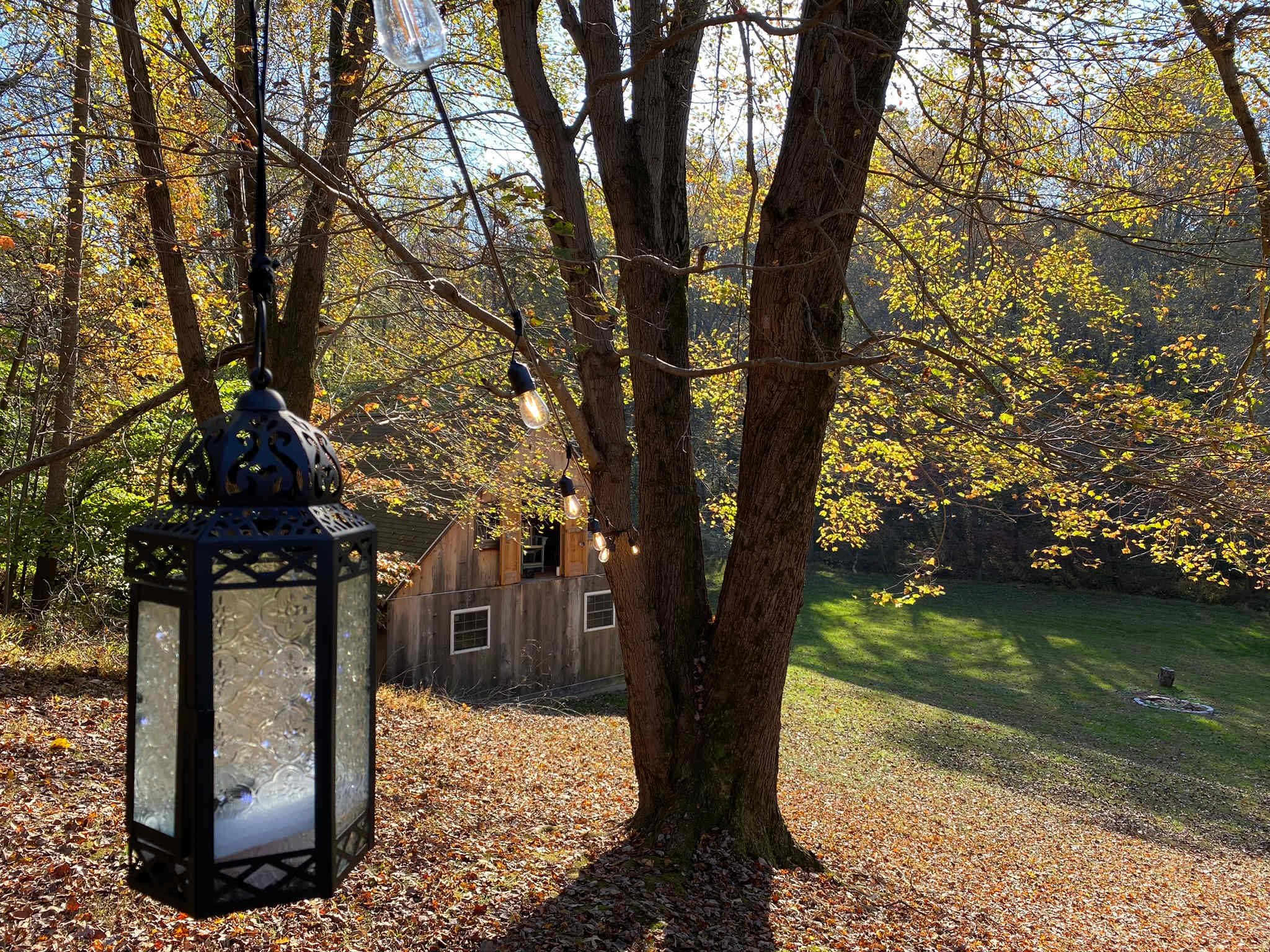 DC Hideaway & Hot Pepper Gardens