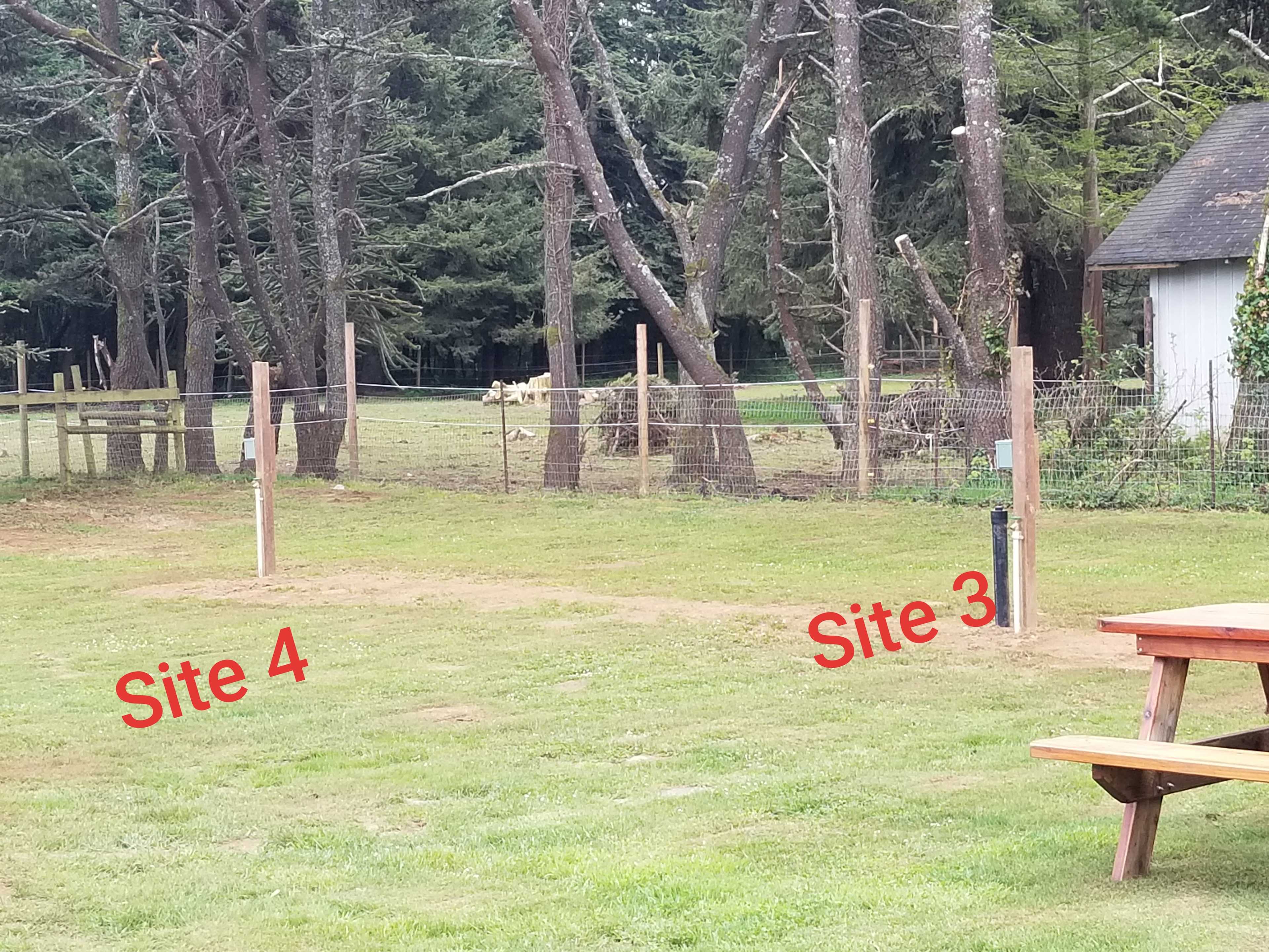 Picture of the site