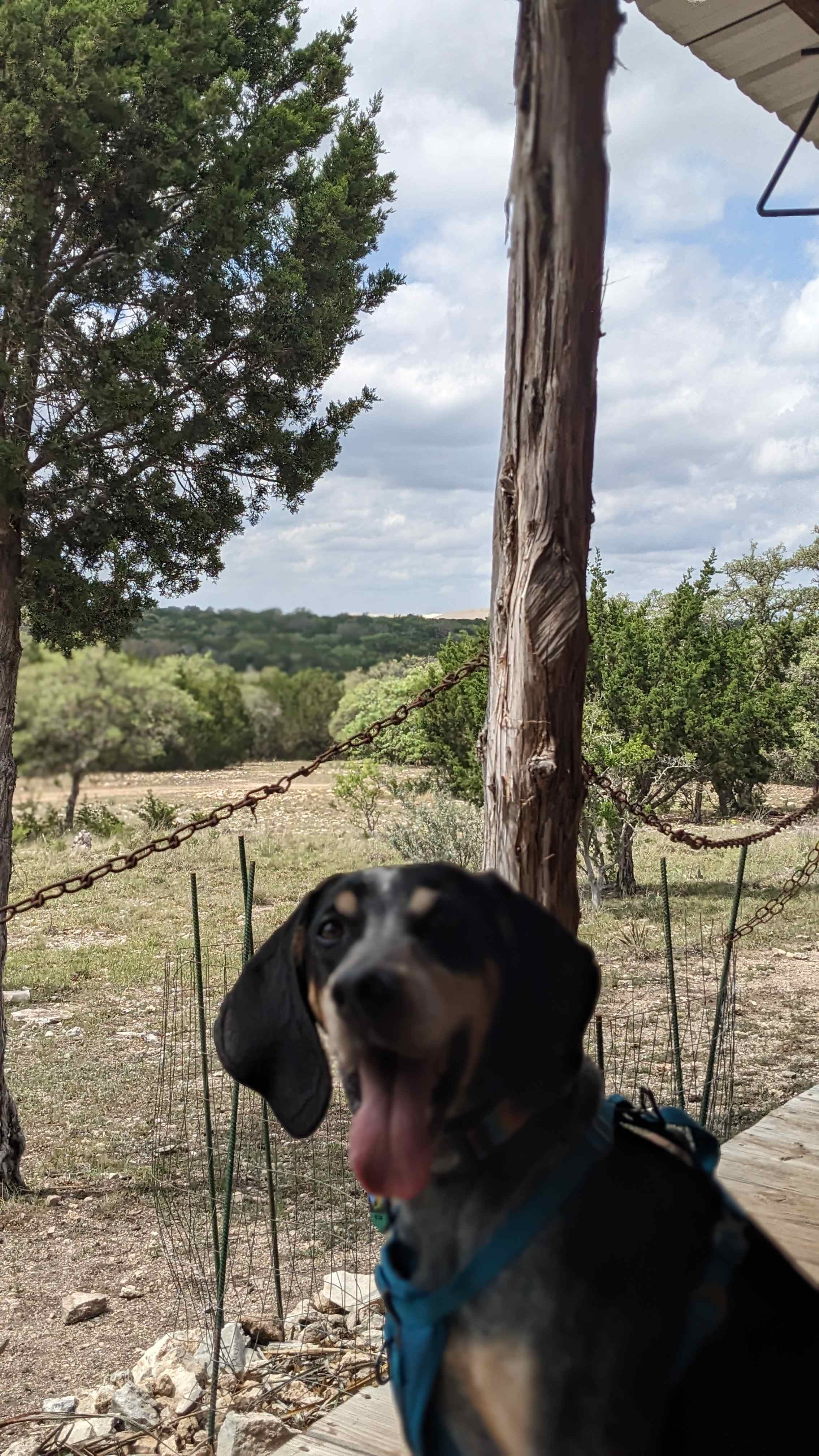 Cabin at the Ranch - Harper, TX
