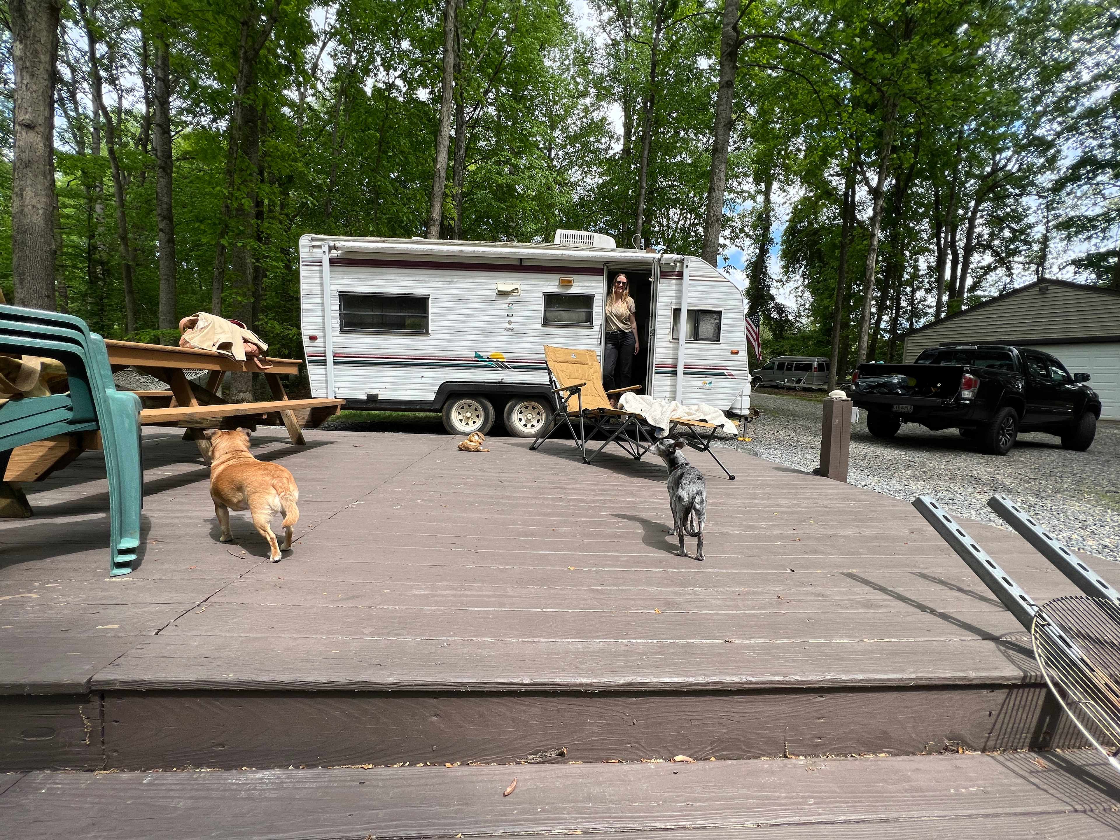 Circle driveway made it easy to get in/out. Dogs (and us humans) loved the deck! 