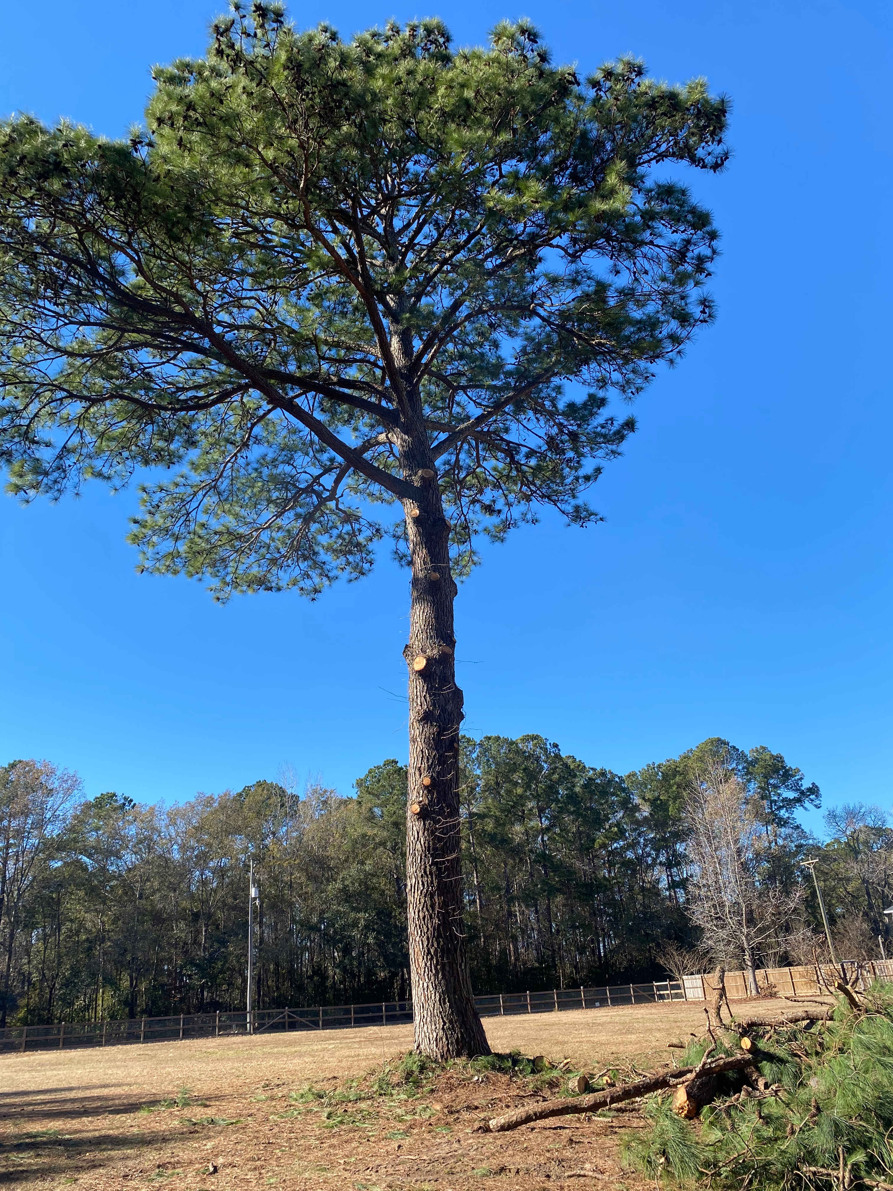 Summerville RV Site