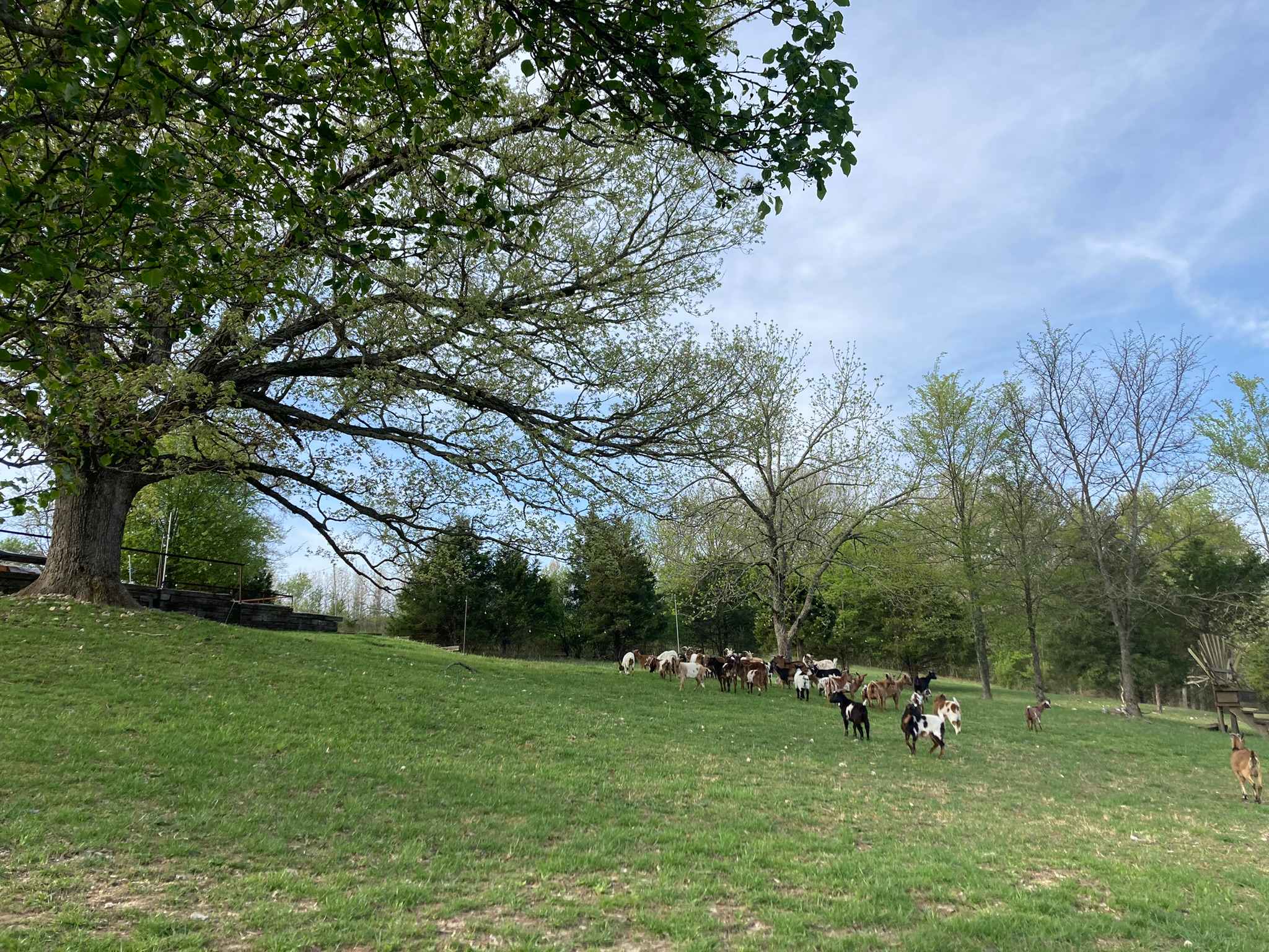Explore the Ozarks - Dockley Ranch