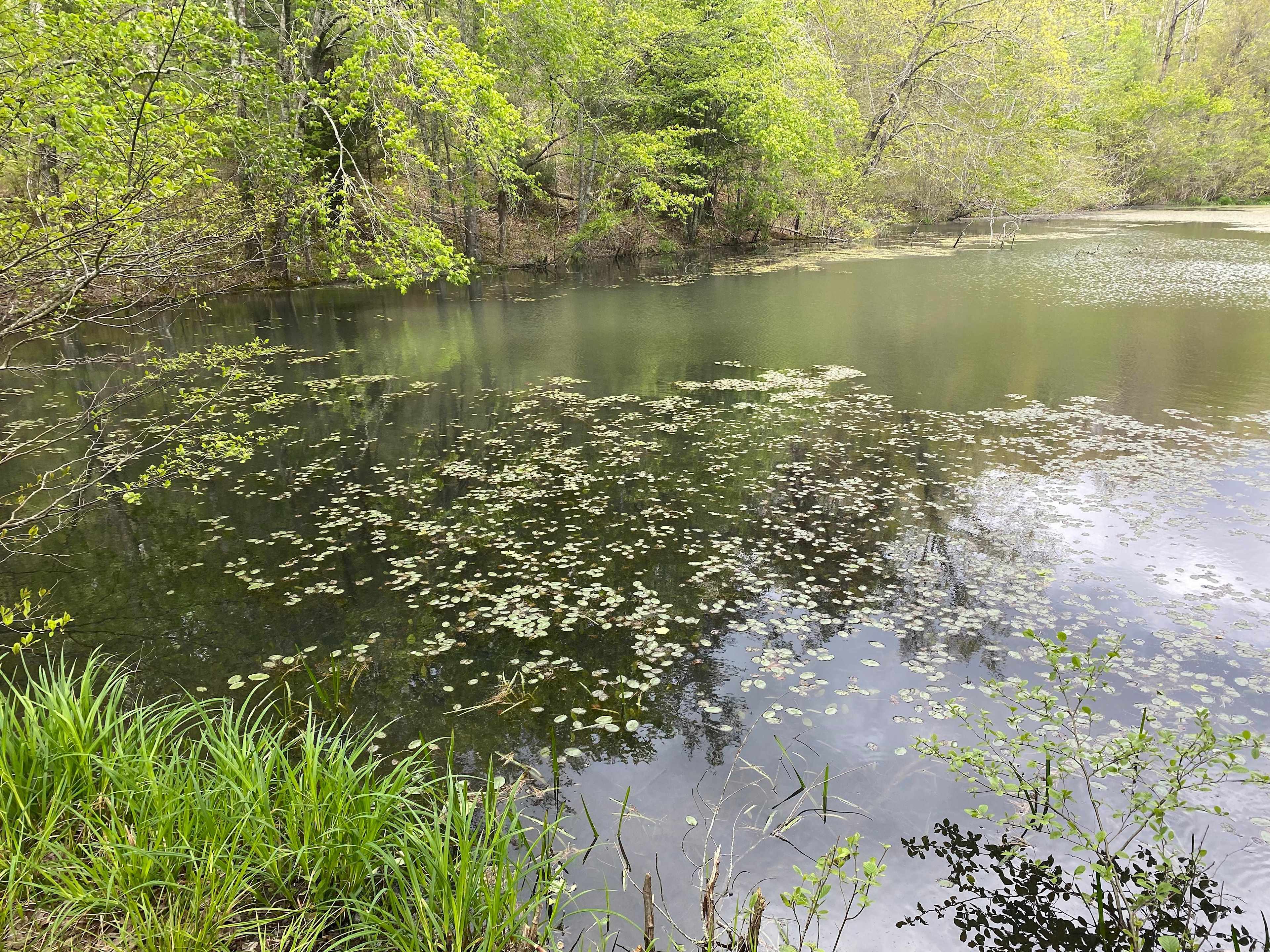 Petersville Campground