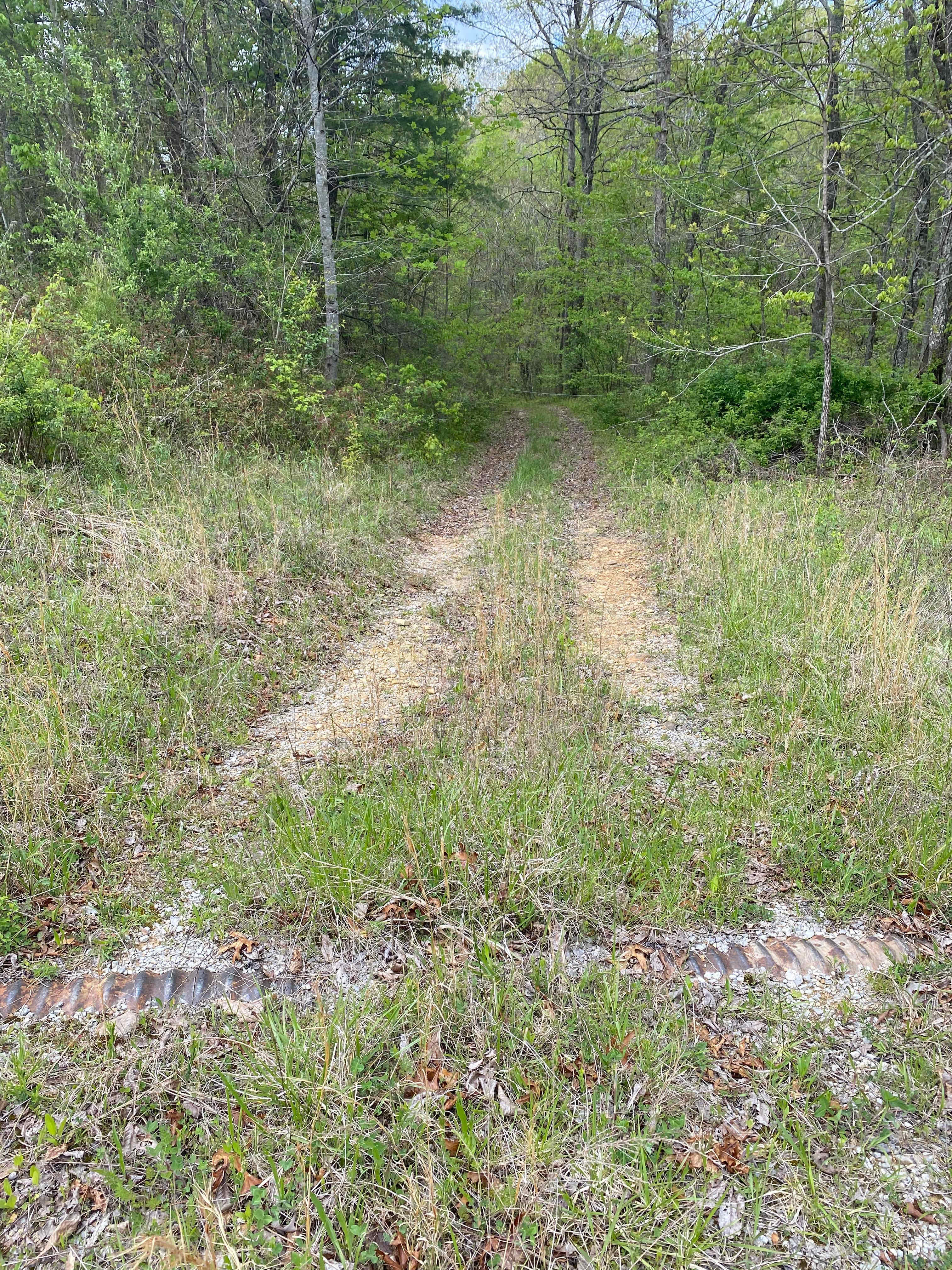 Petersville Campground