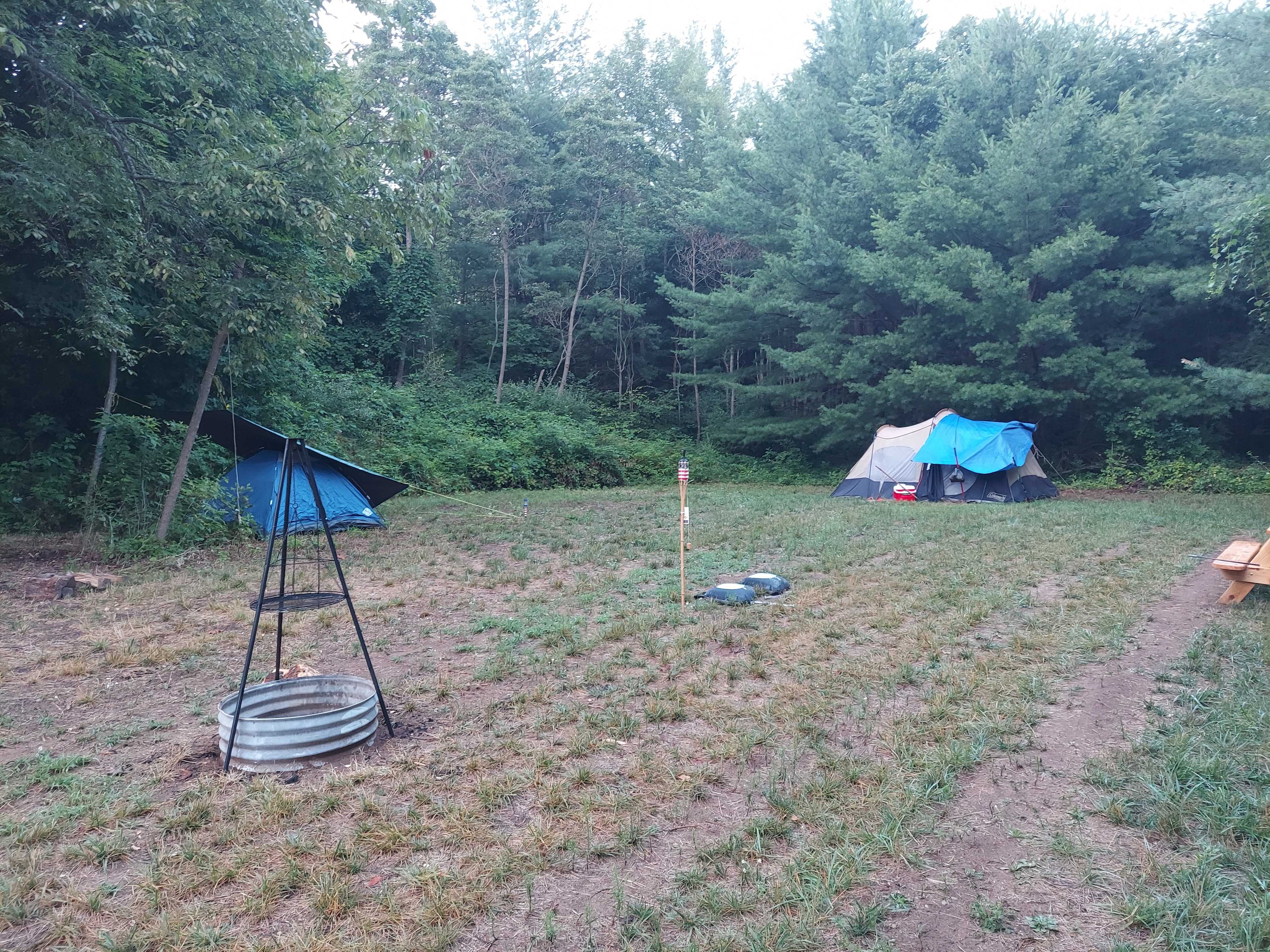 Picture of the site