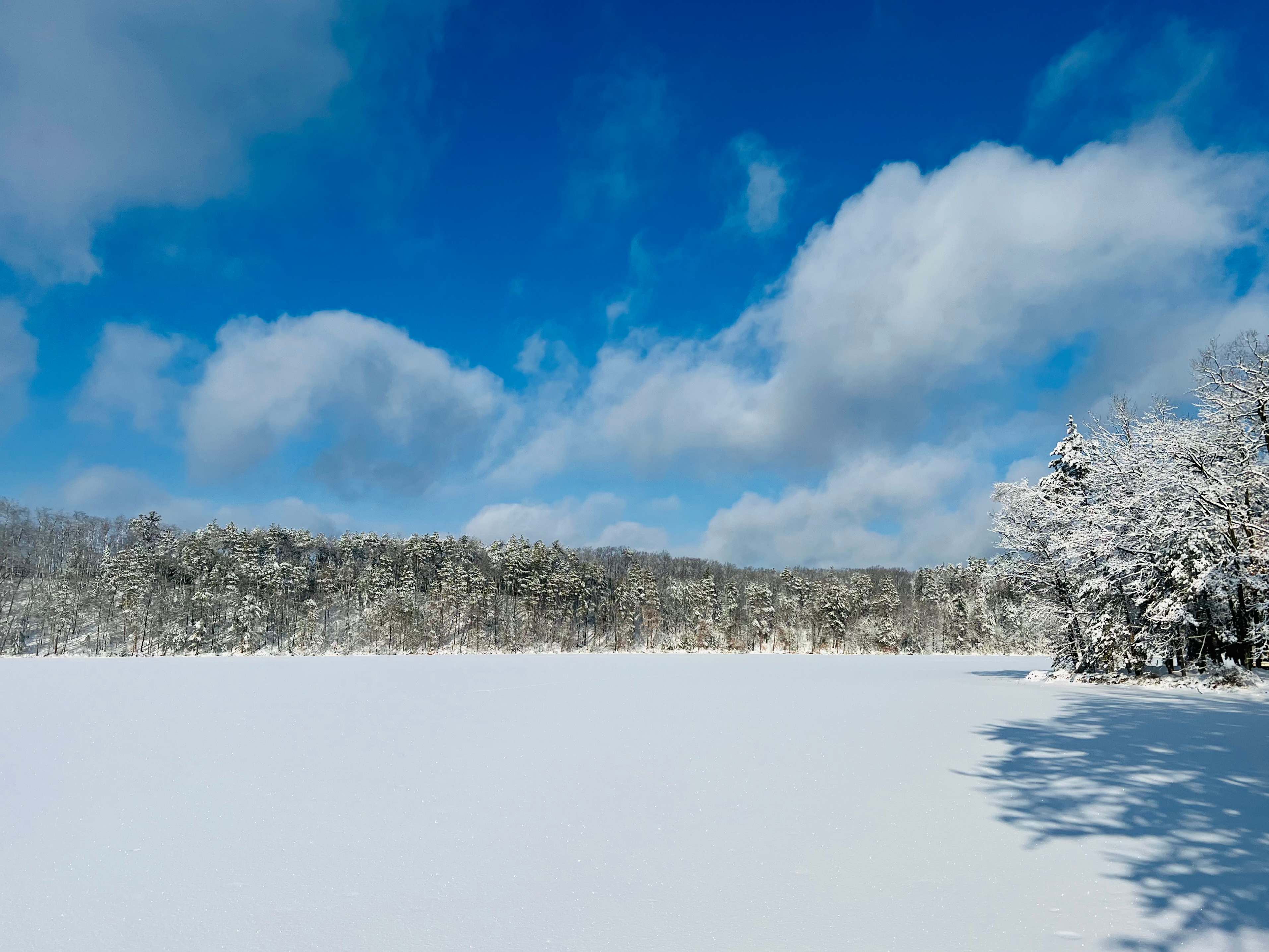 Pine Ridge Lake Camp (PRL Camp)