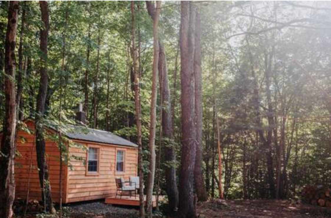 Milk & Honey Homestead