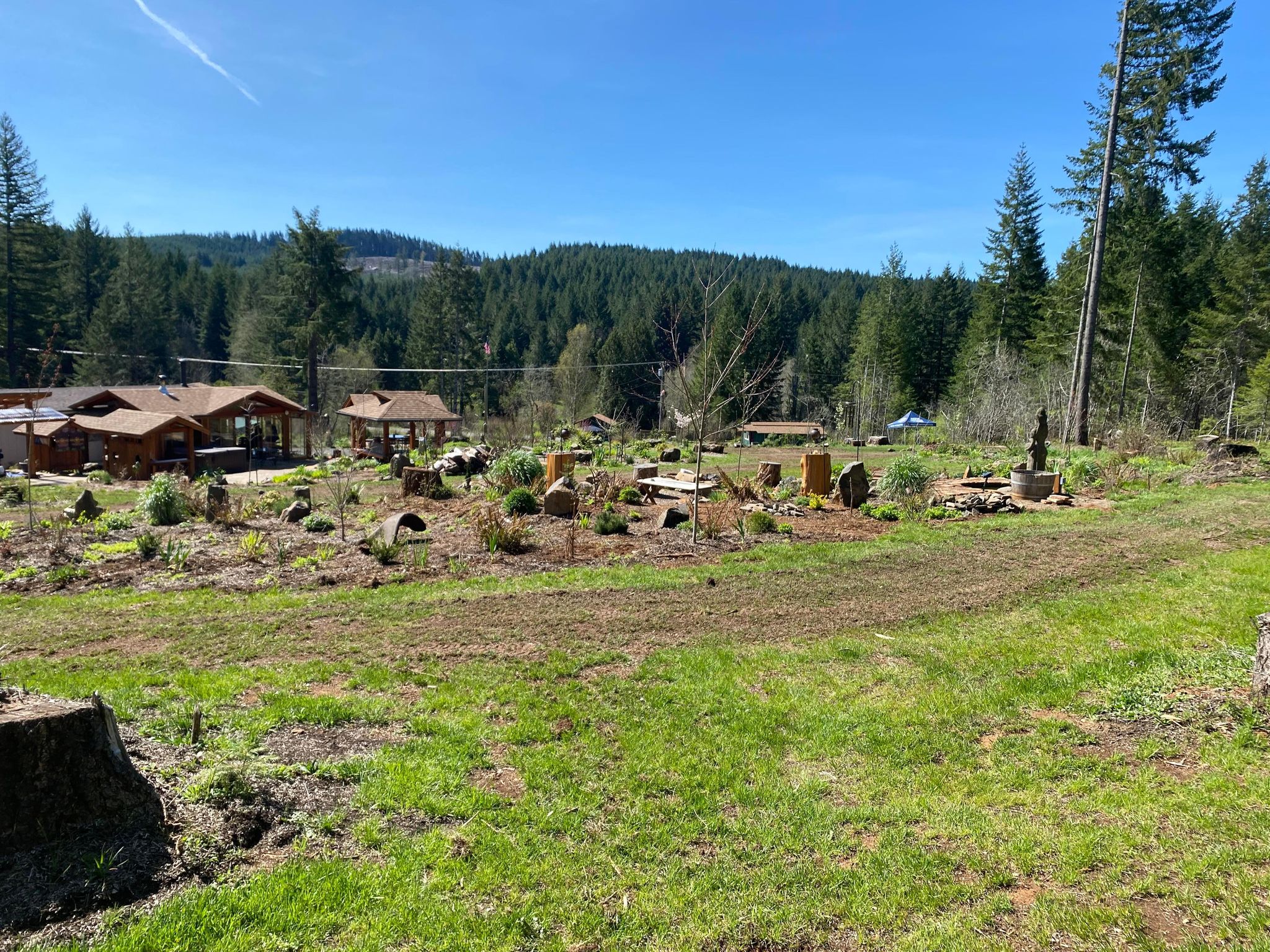 Picture of the site