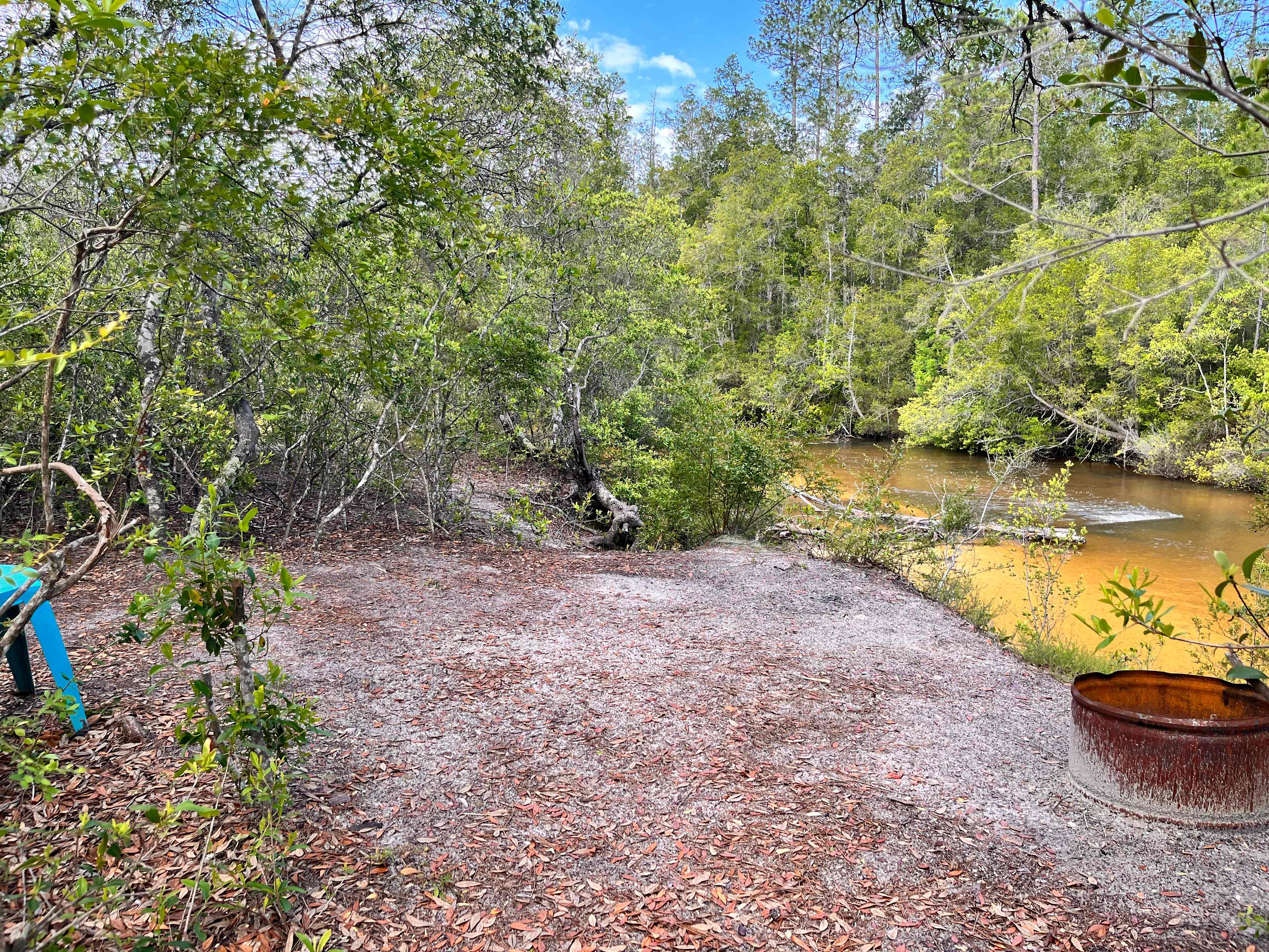 Picture of the site