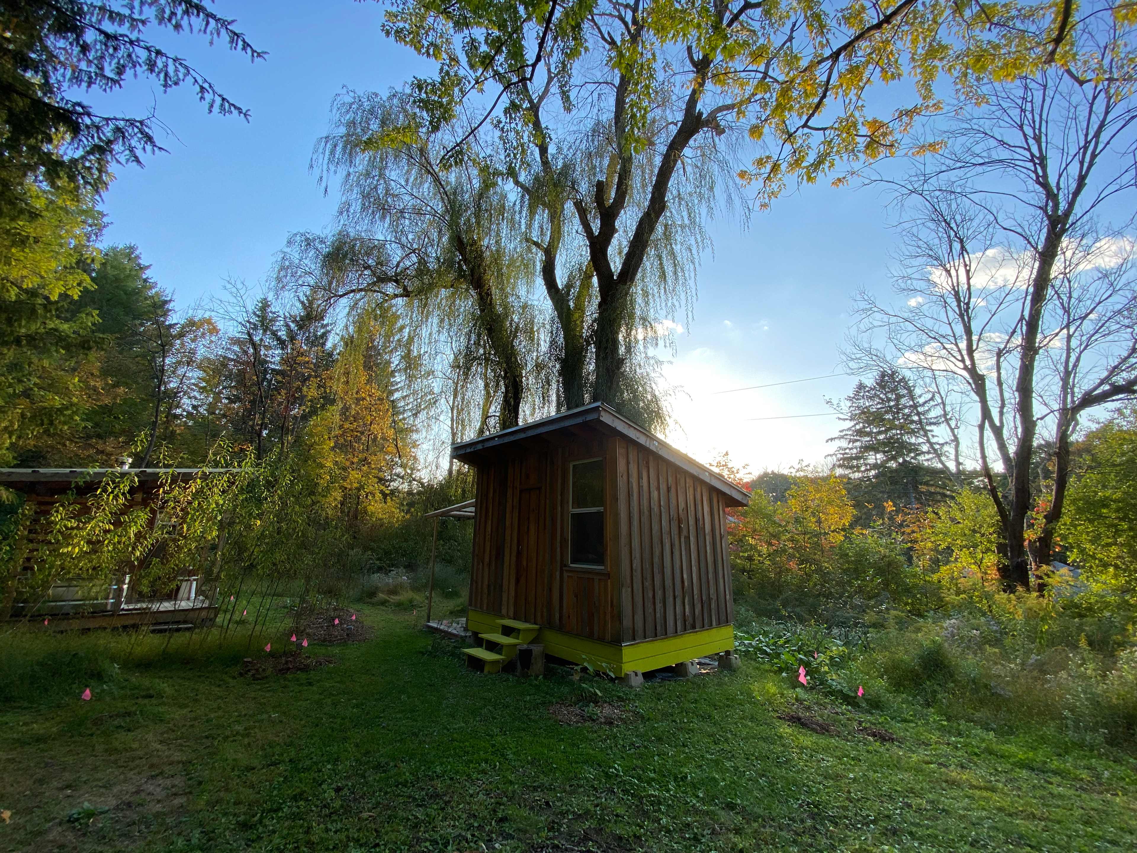 Cabin last fall
