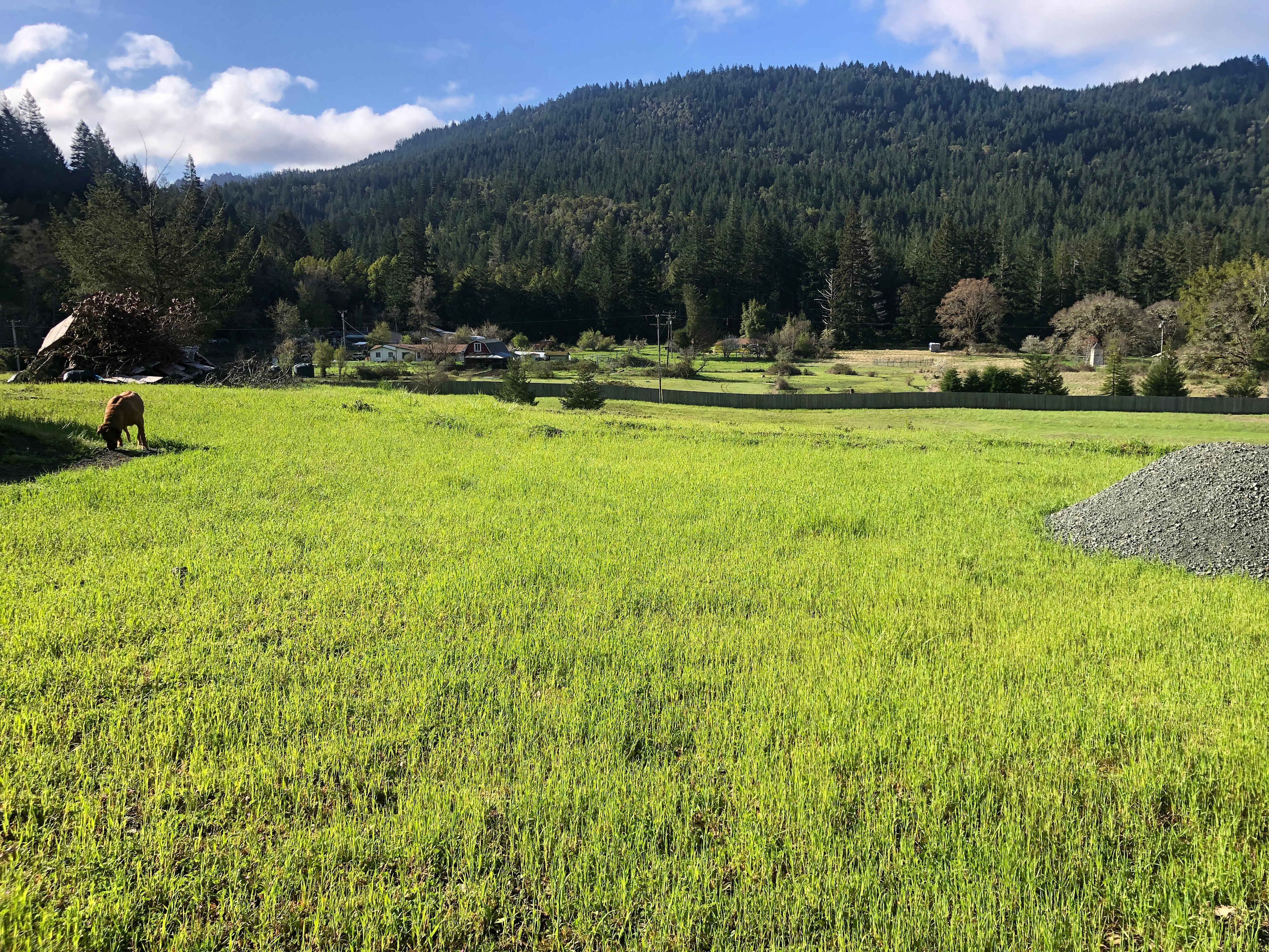 Salmon Creek RV Camping
