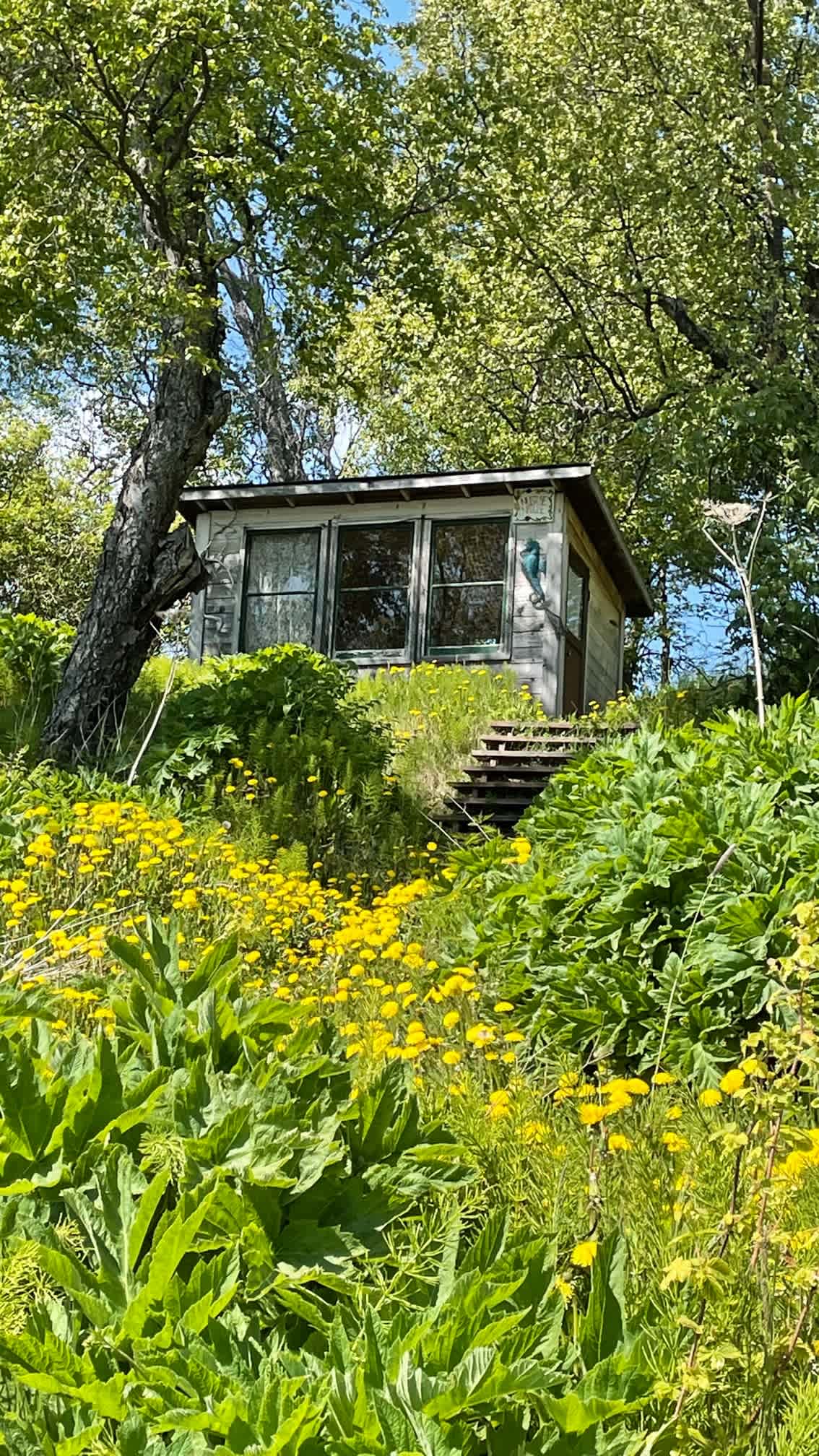 Picture of the site