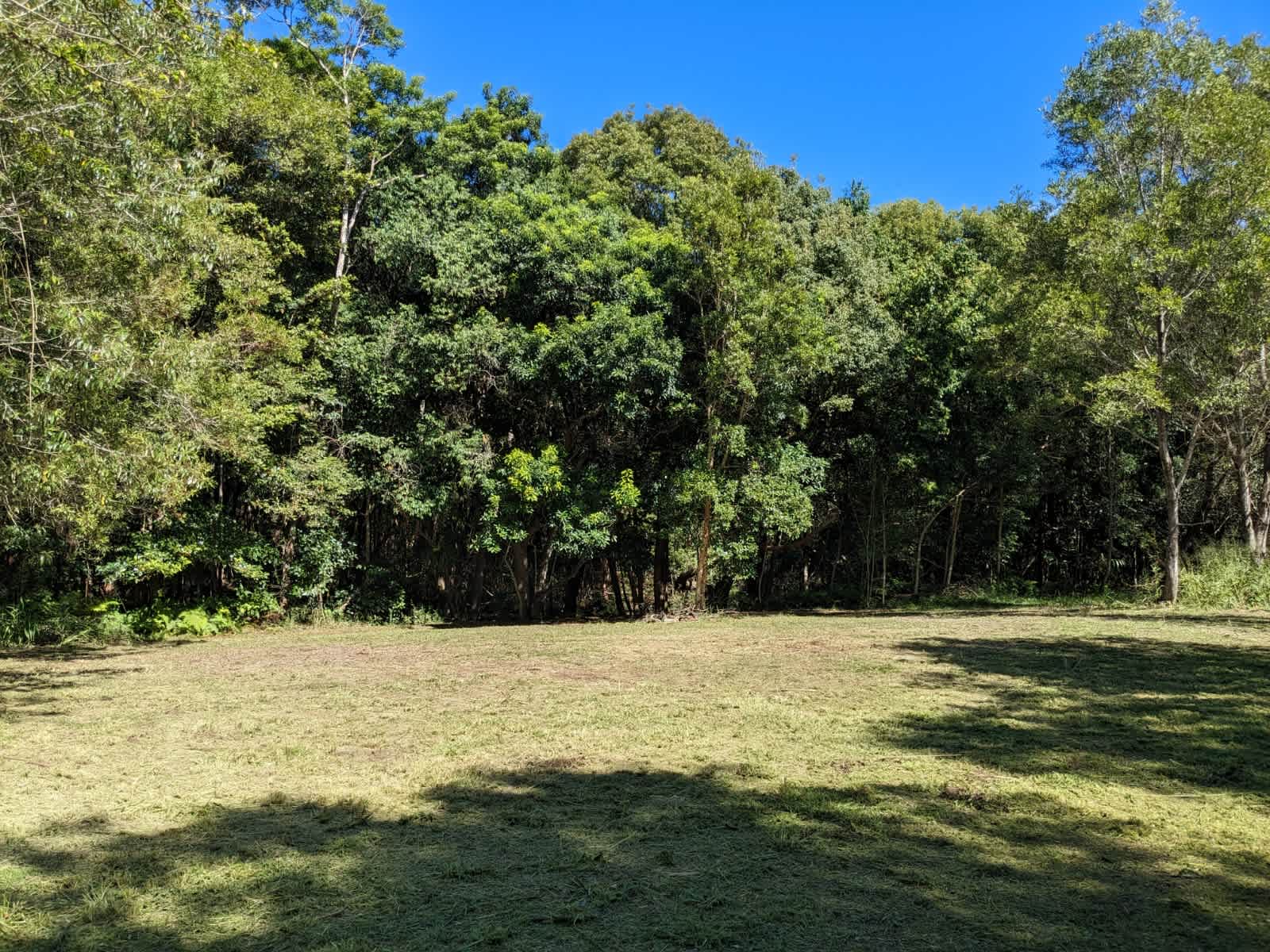 Browns Creek Camping