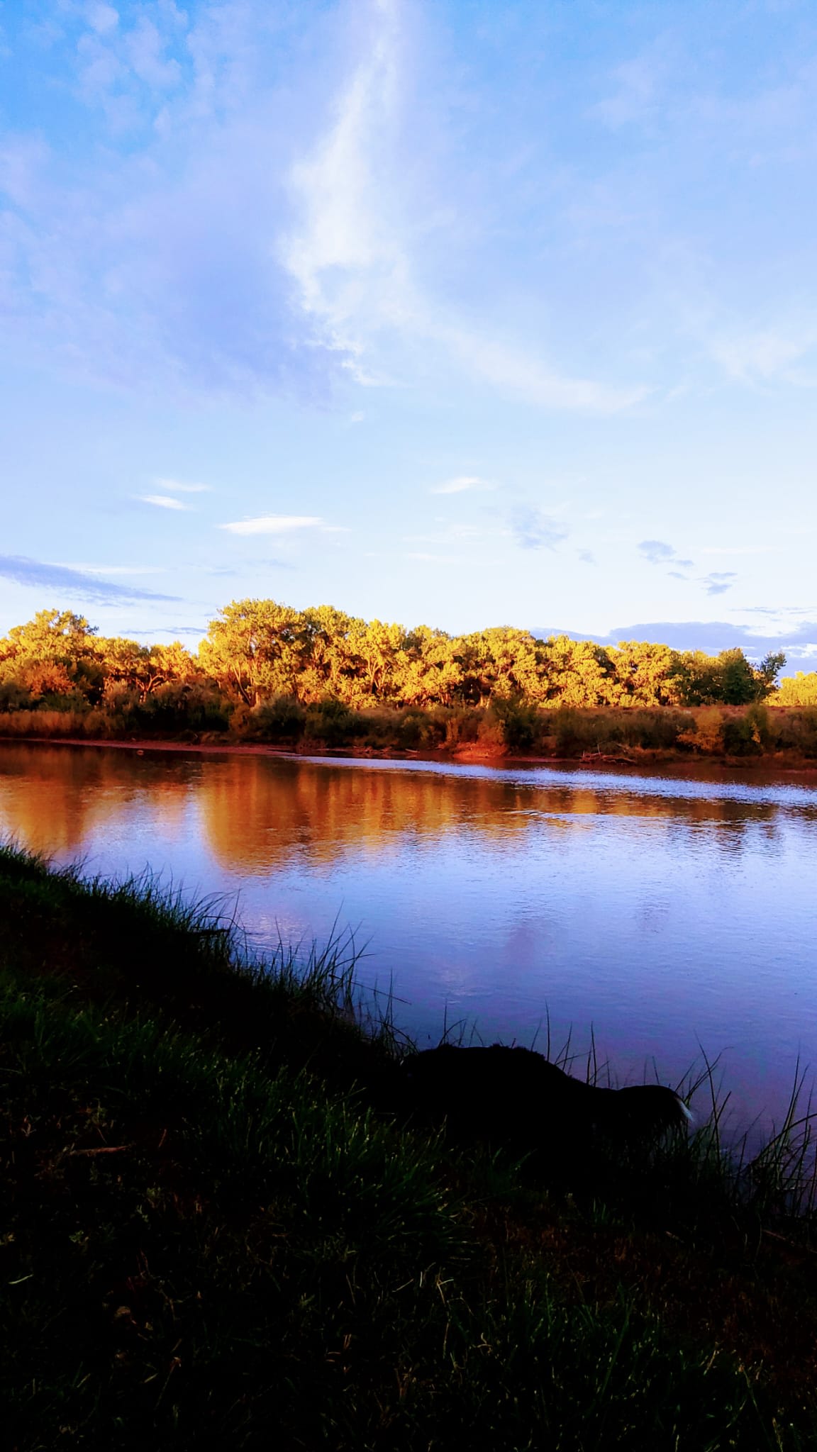 Javali River Glamping