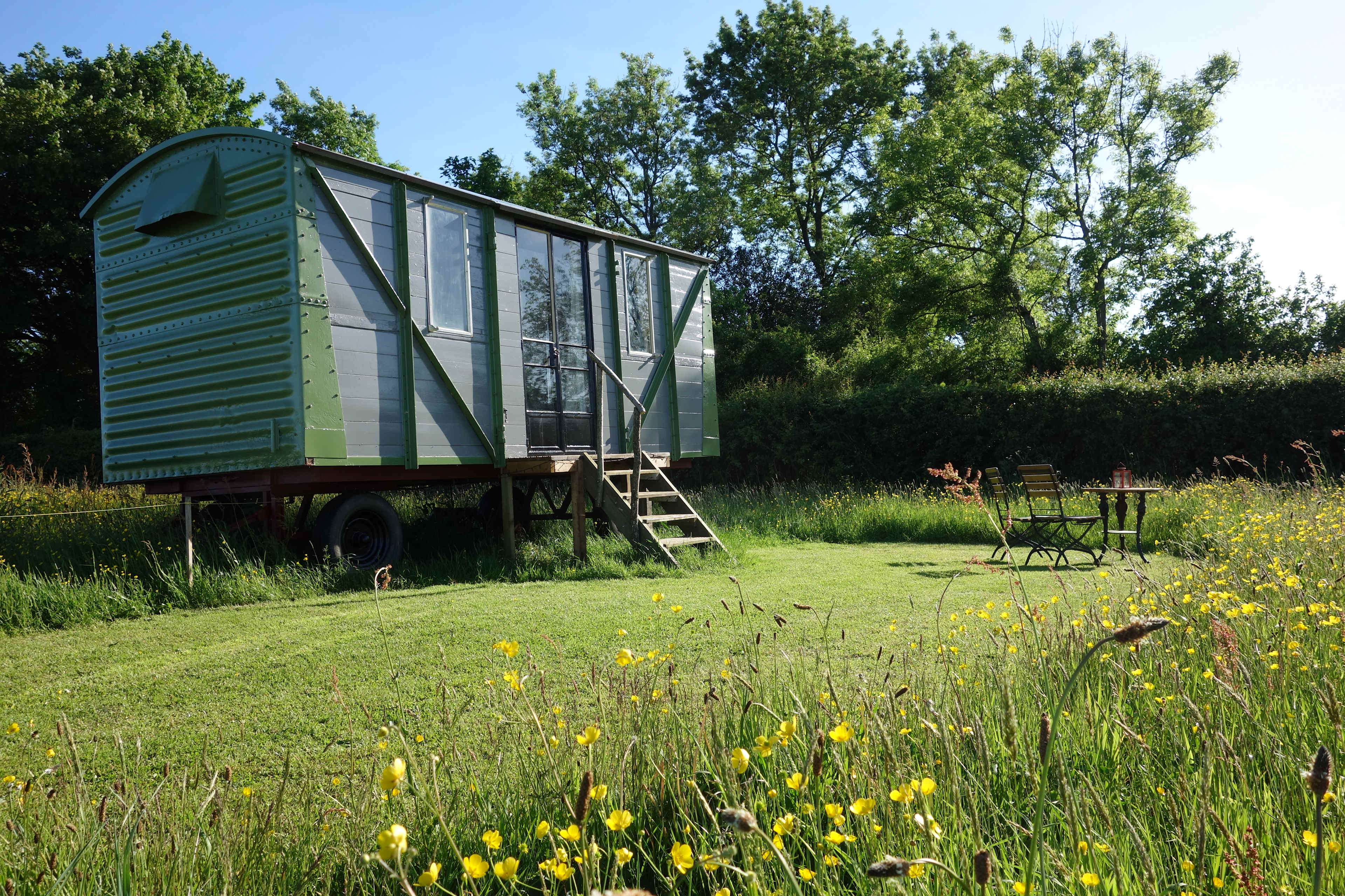 Cadora Woods Glamping