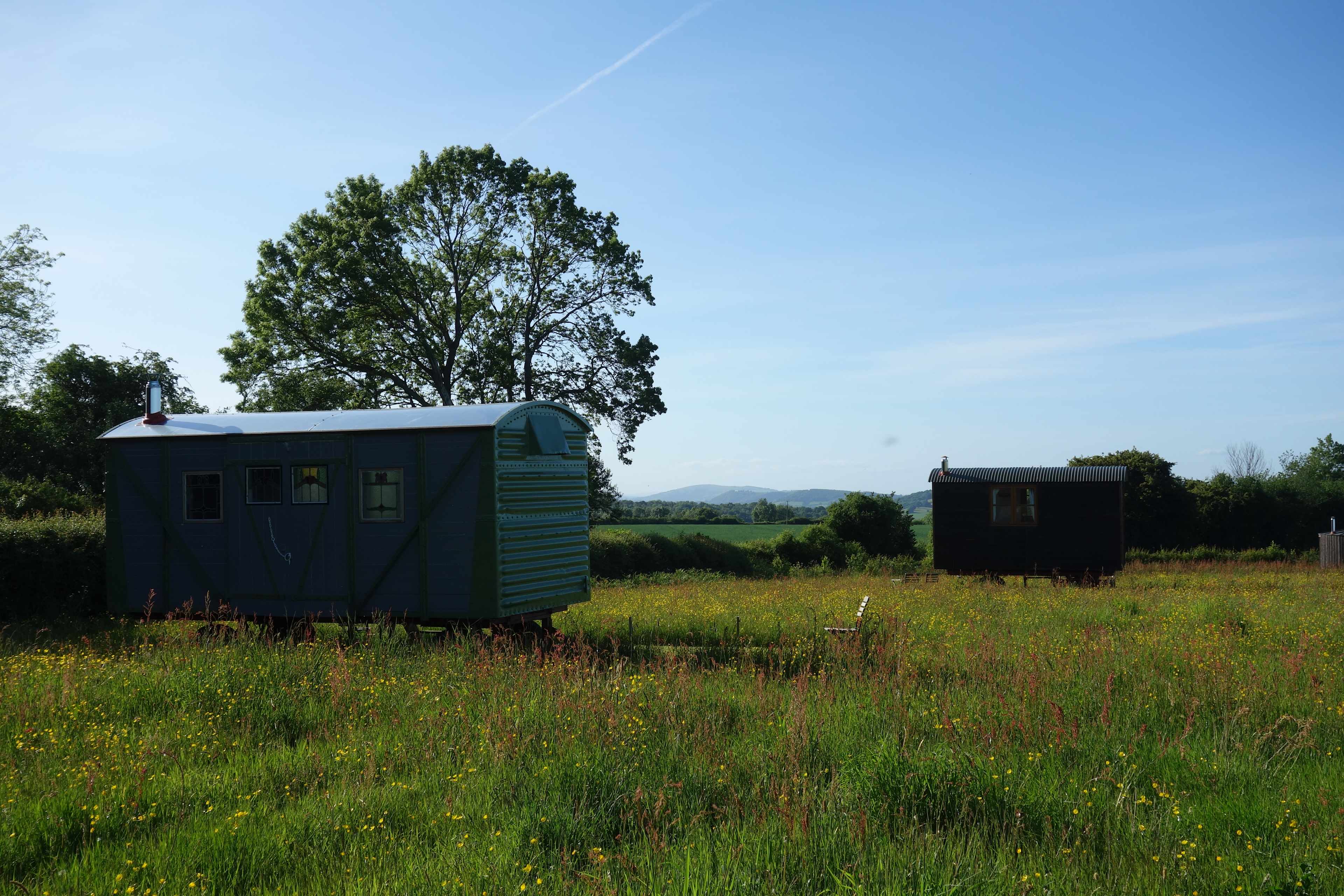 Cadora Woods Glamping