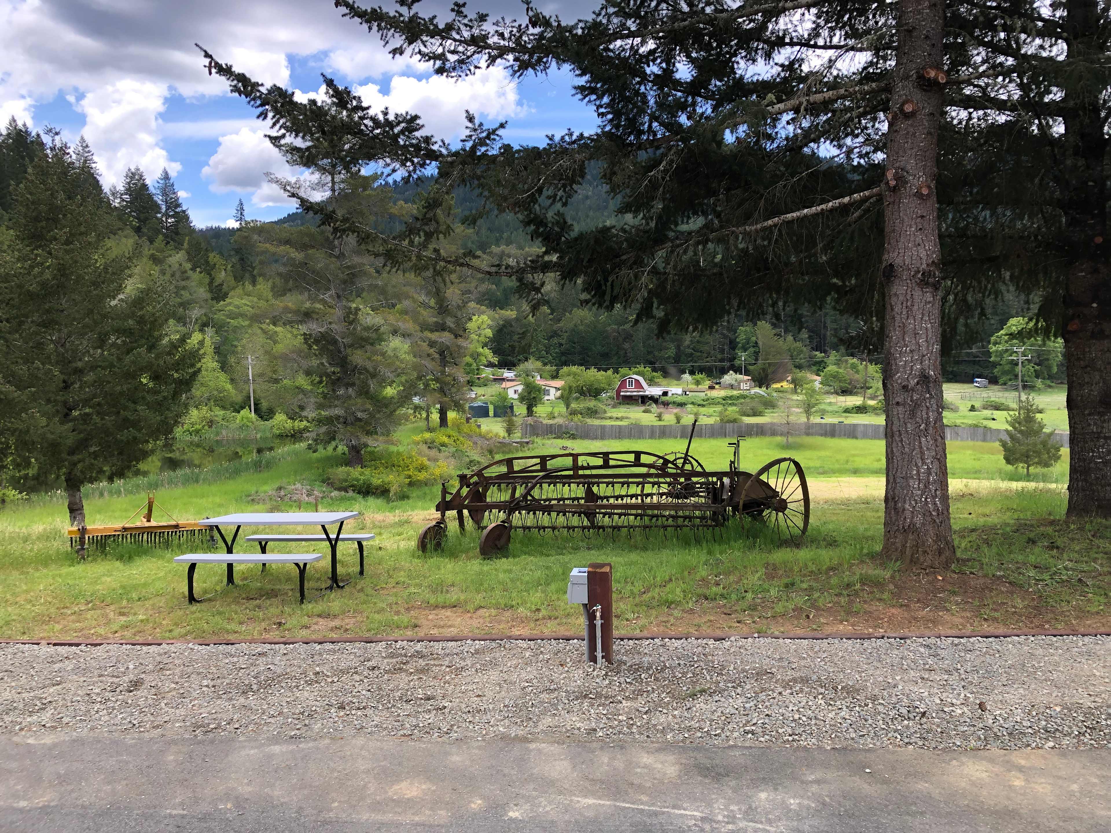 Picture of the site