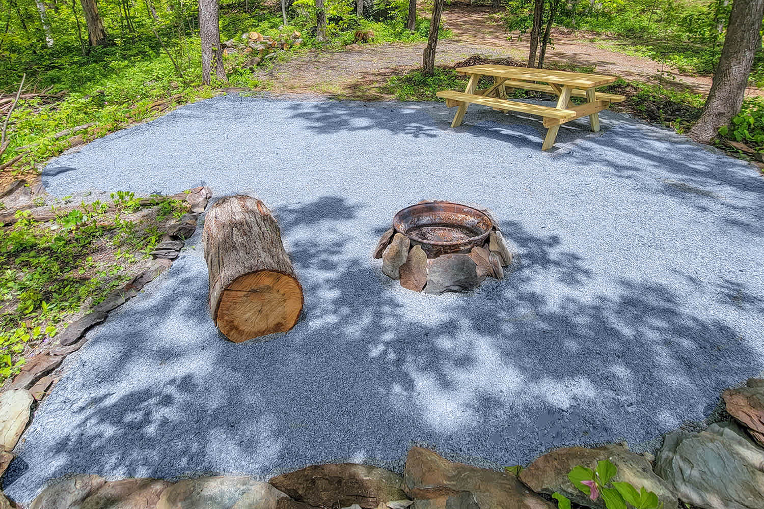 Picture of the site