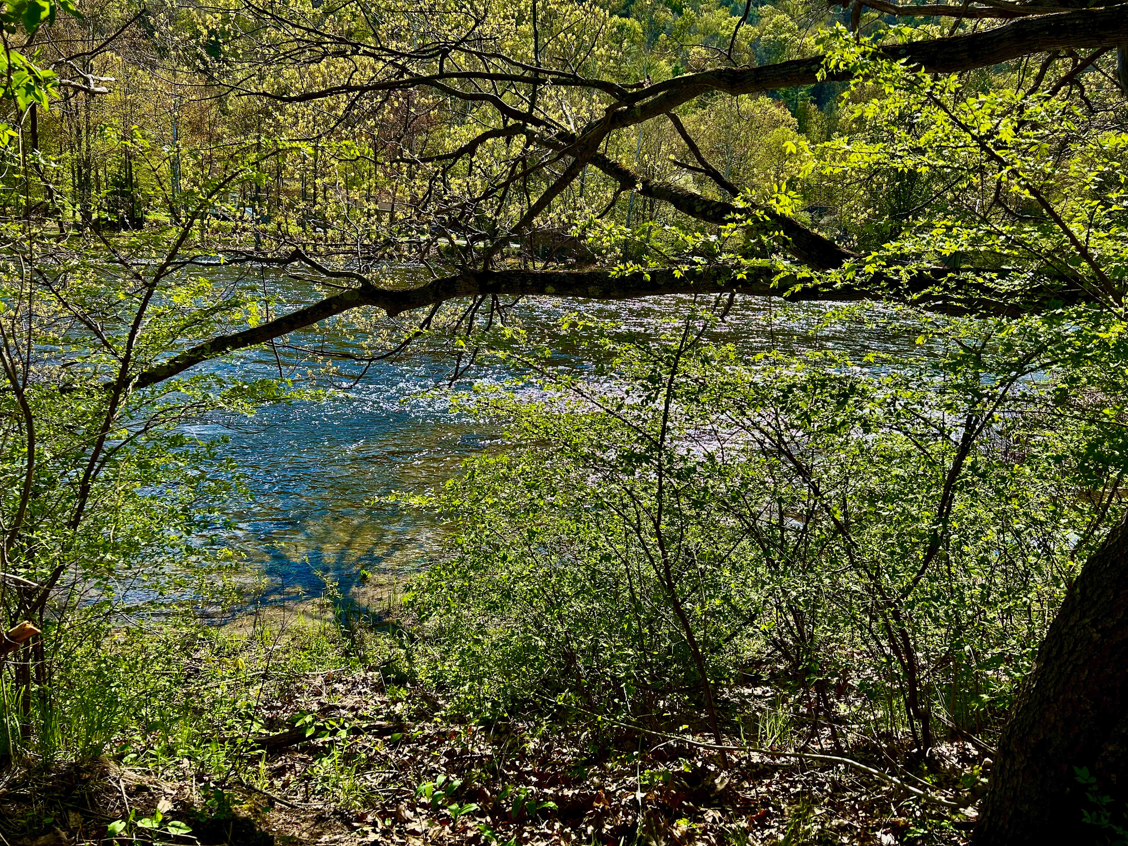 River side camping views! The sound of the river will lull you to sleep.