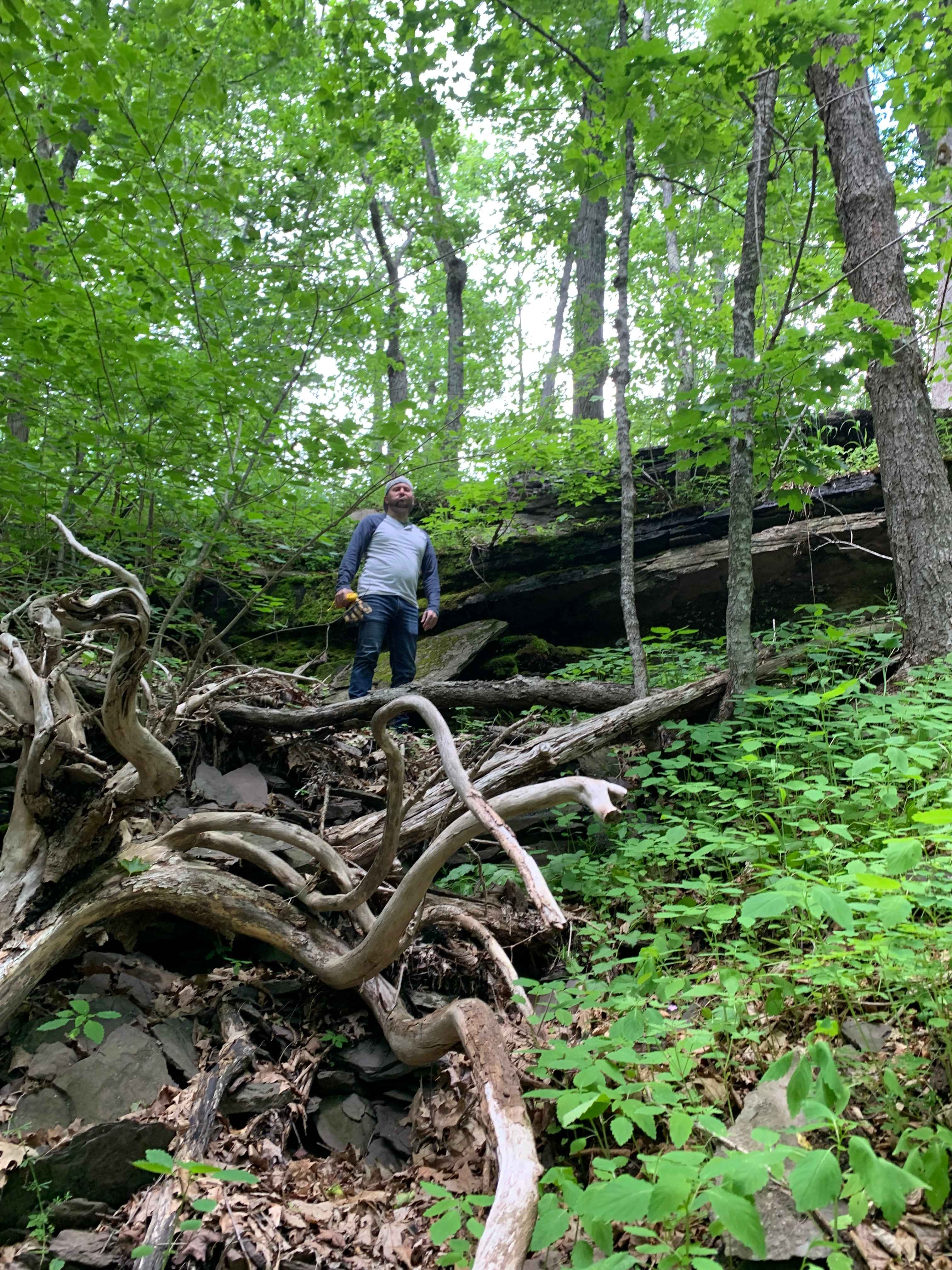Looking up from the bottom of the ravine. 80ft hike to the creek at the bottom. 