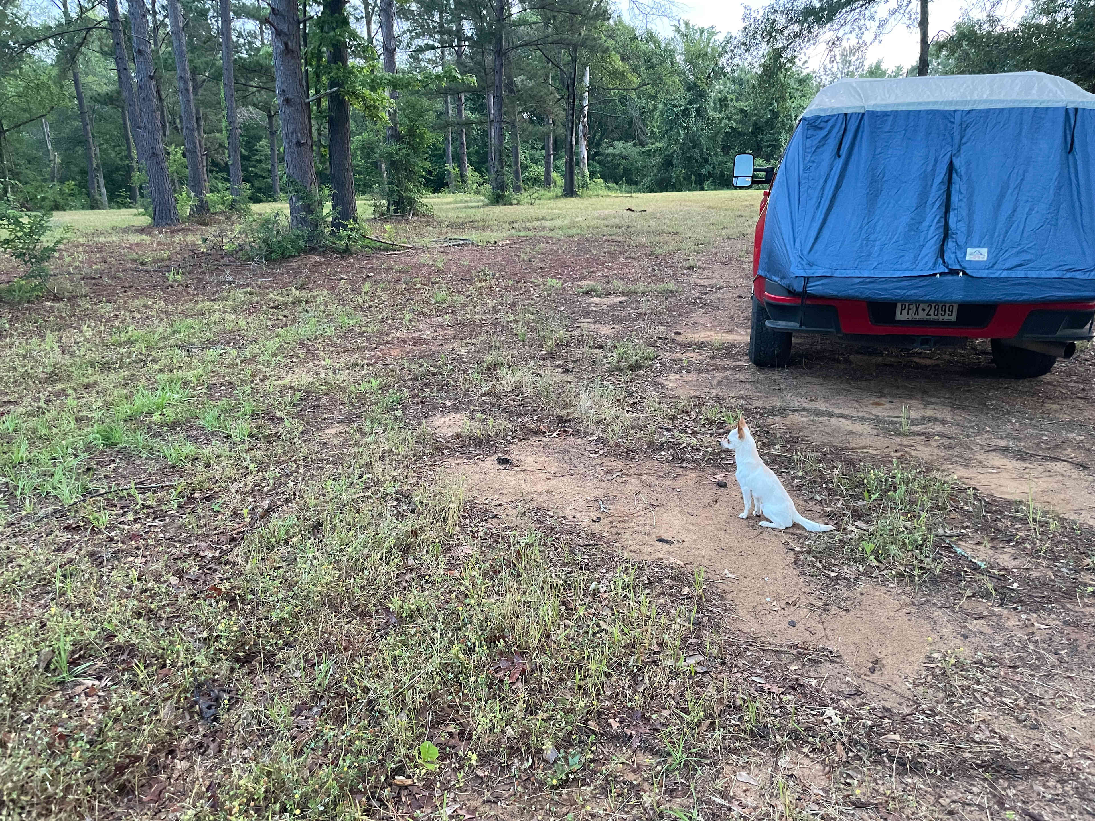 Picture of the site