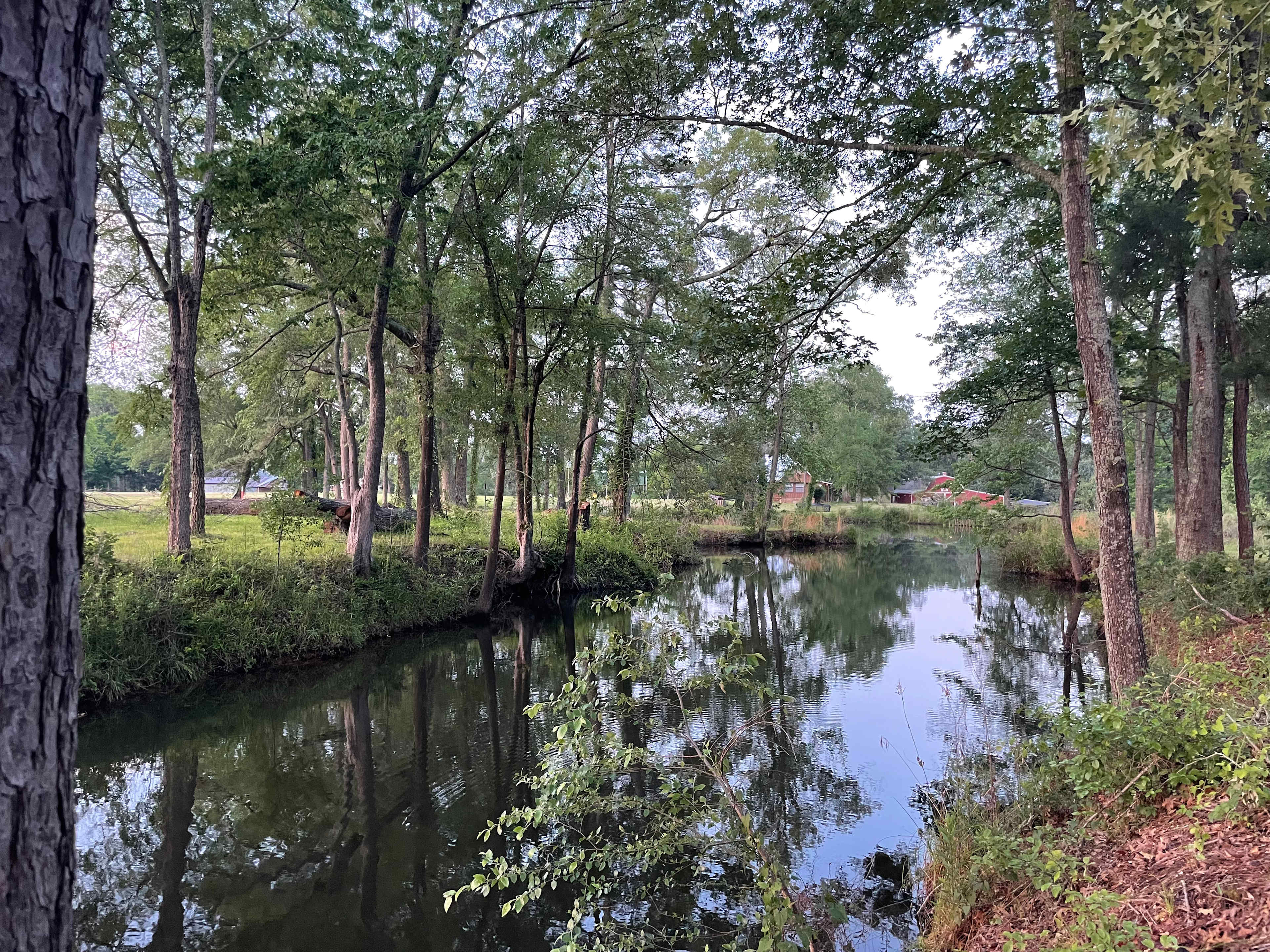 Caddo Springs Farm