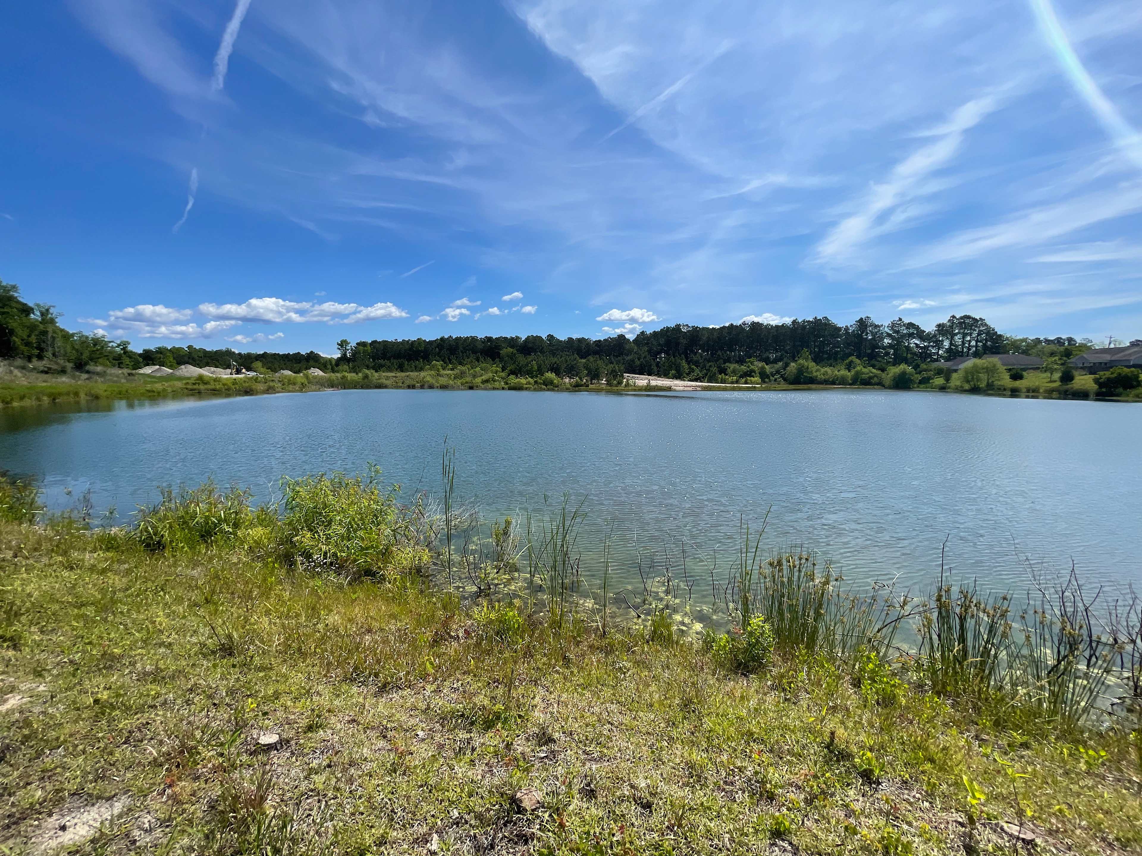 Maggie's Pond