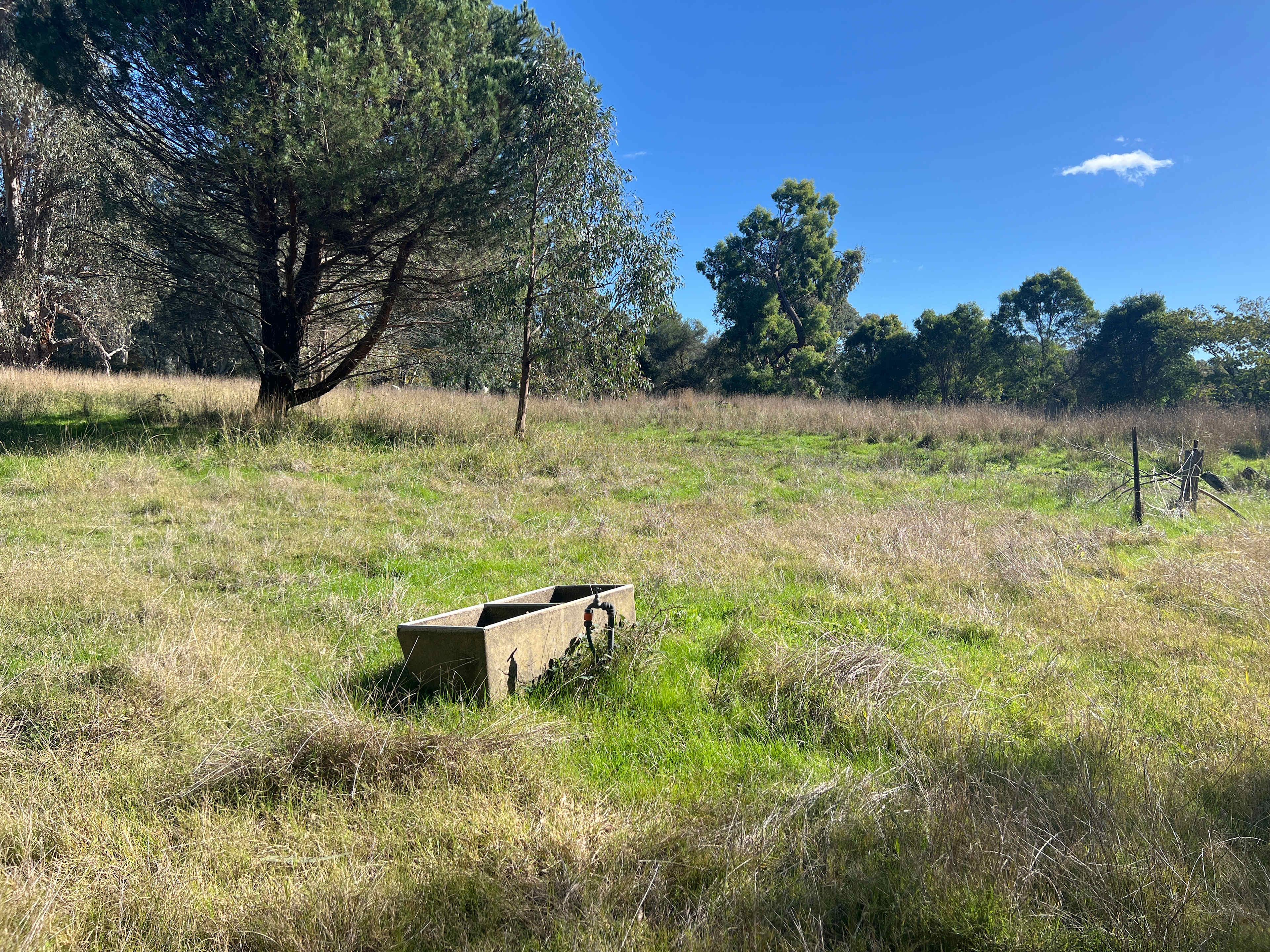River Gum Paddock