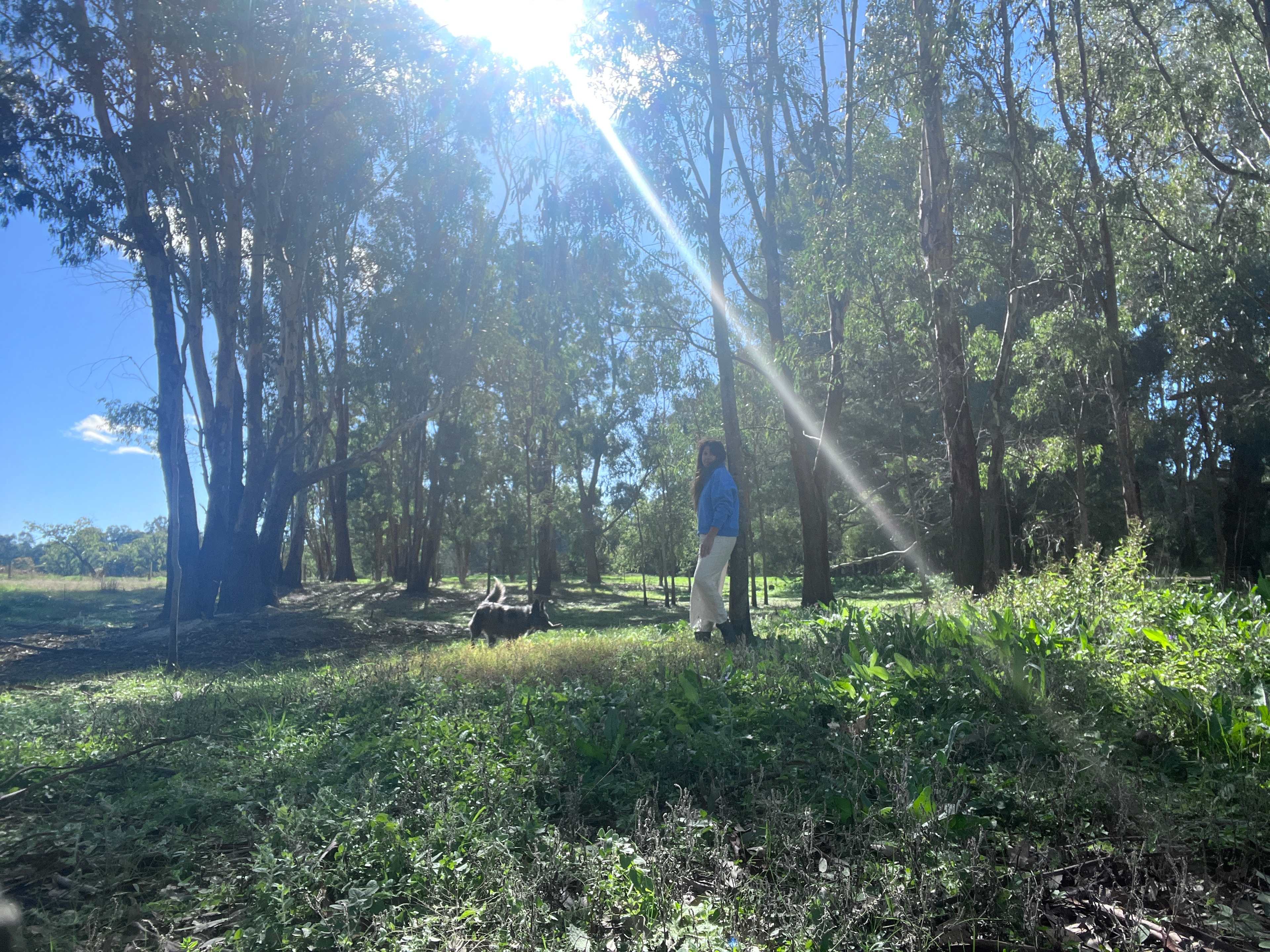 River Gum Paddock