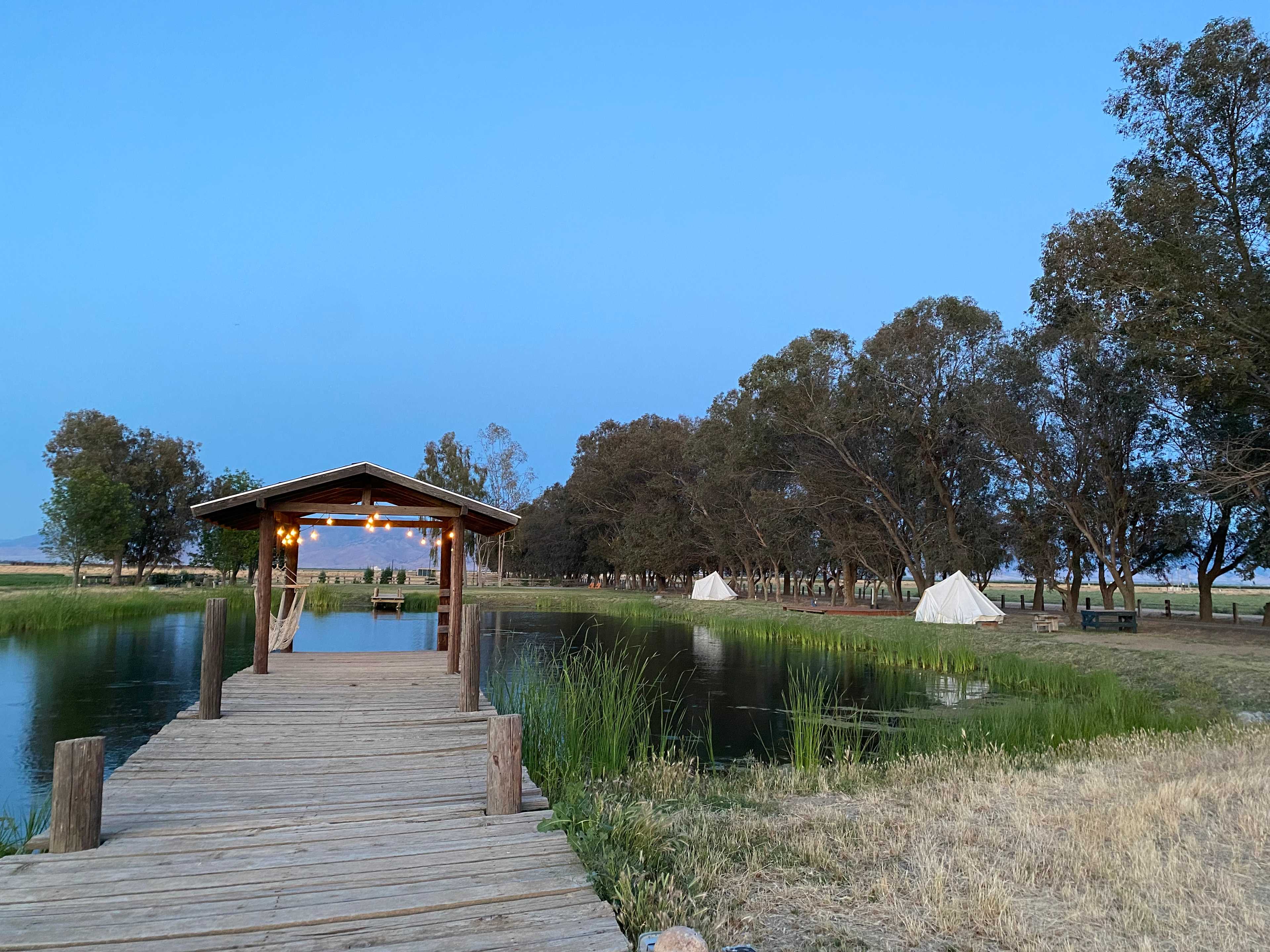 Bakersfield Farm Animals & Pond