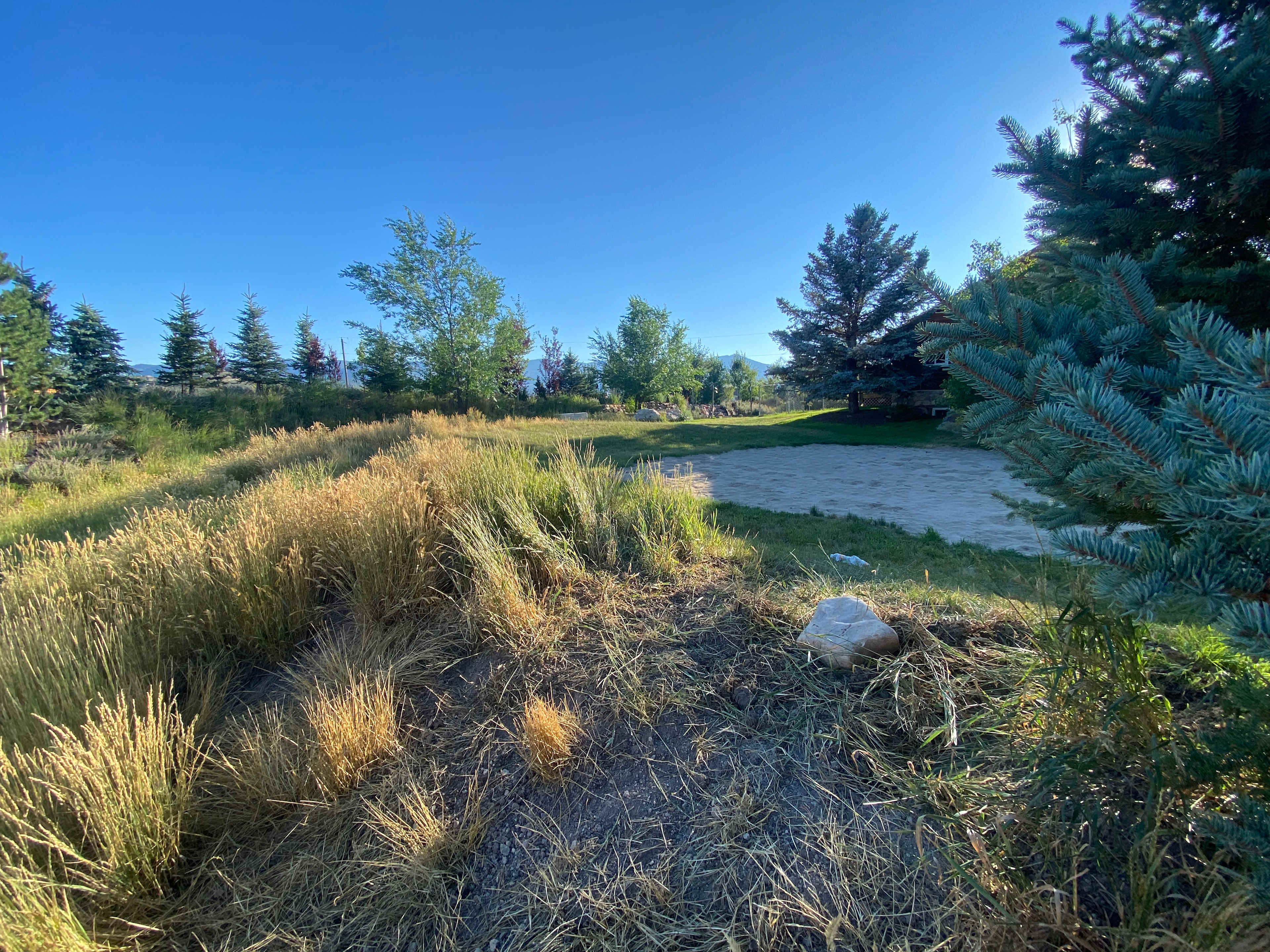 Rancho Bueno