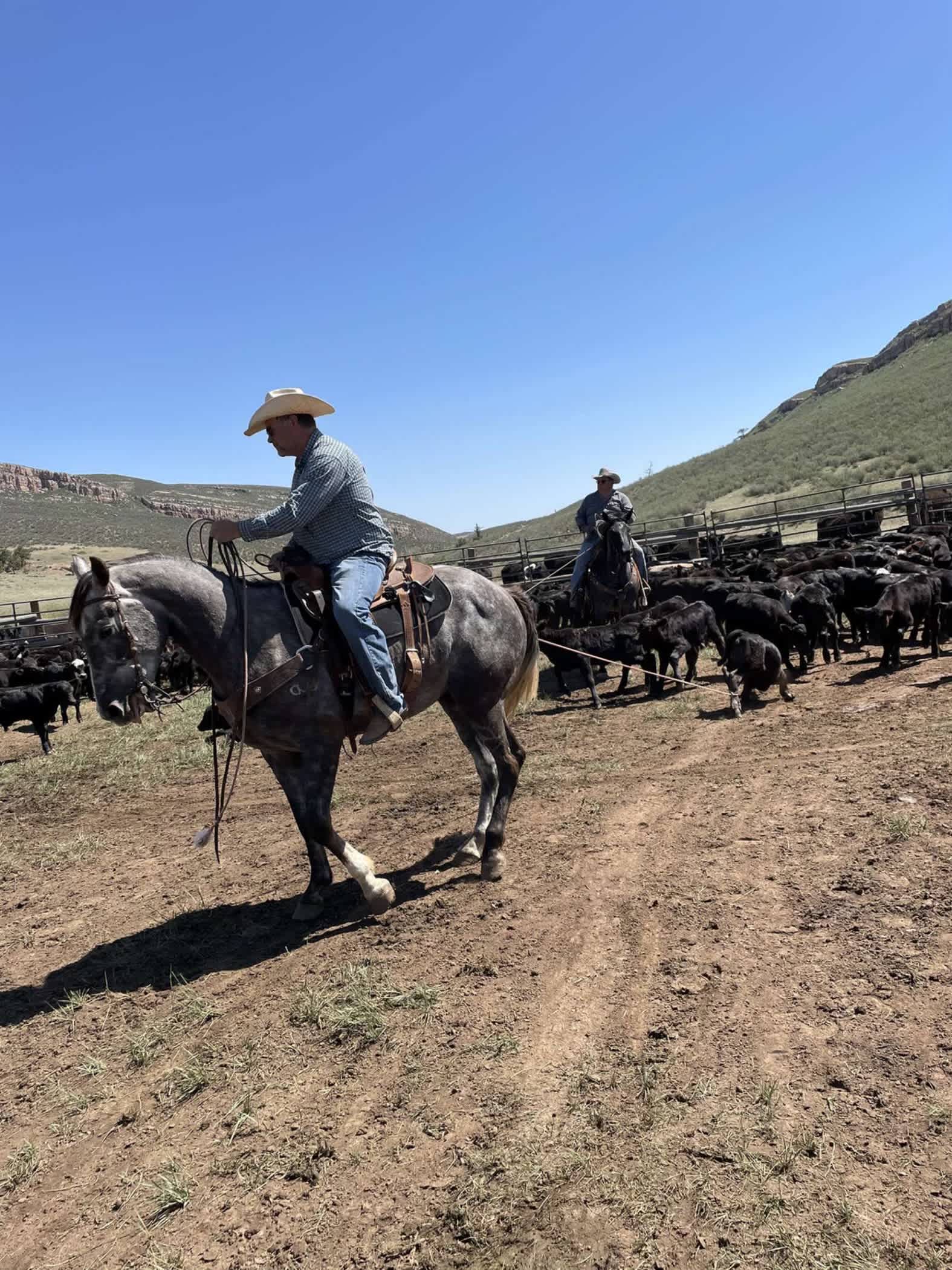 Cowboys on the ranch 