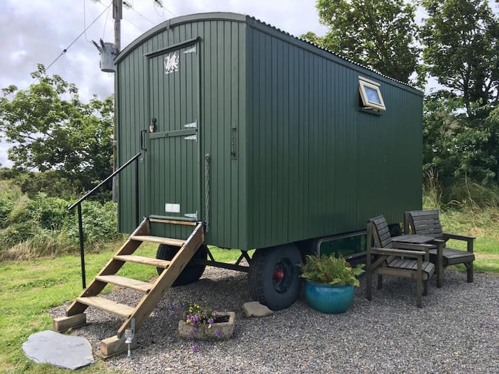 Shepherds Hut at Maendewi