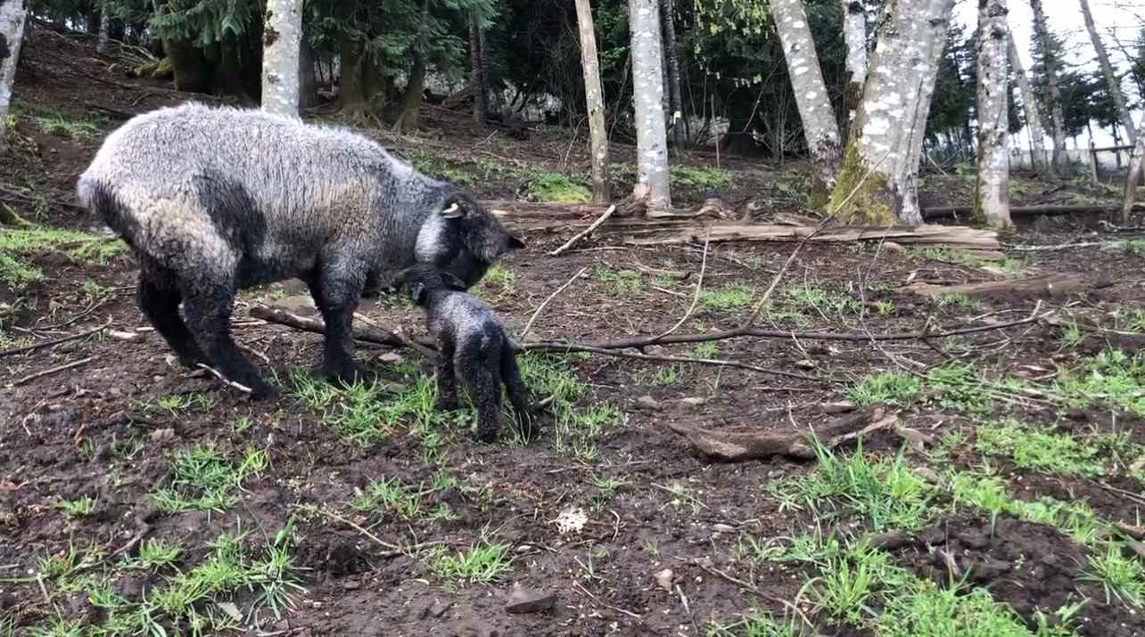 Marilyn and her newborn baby girl, Casady, April 2022