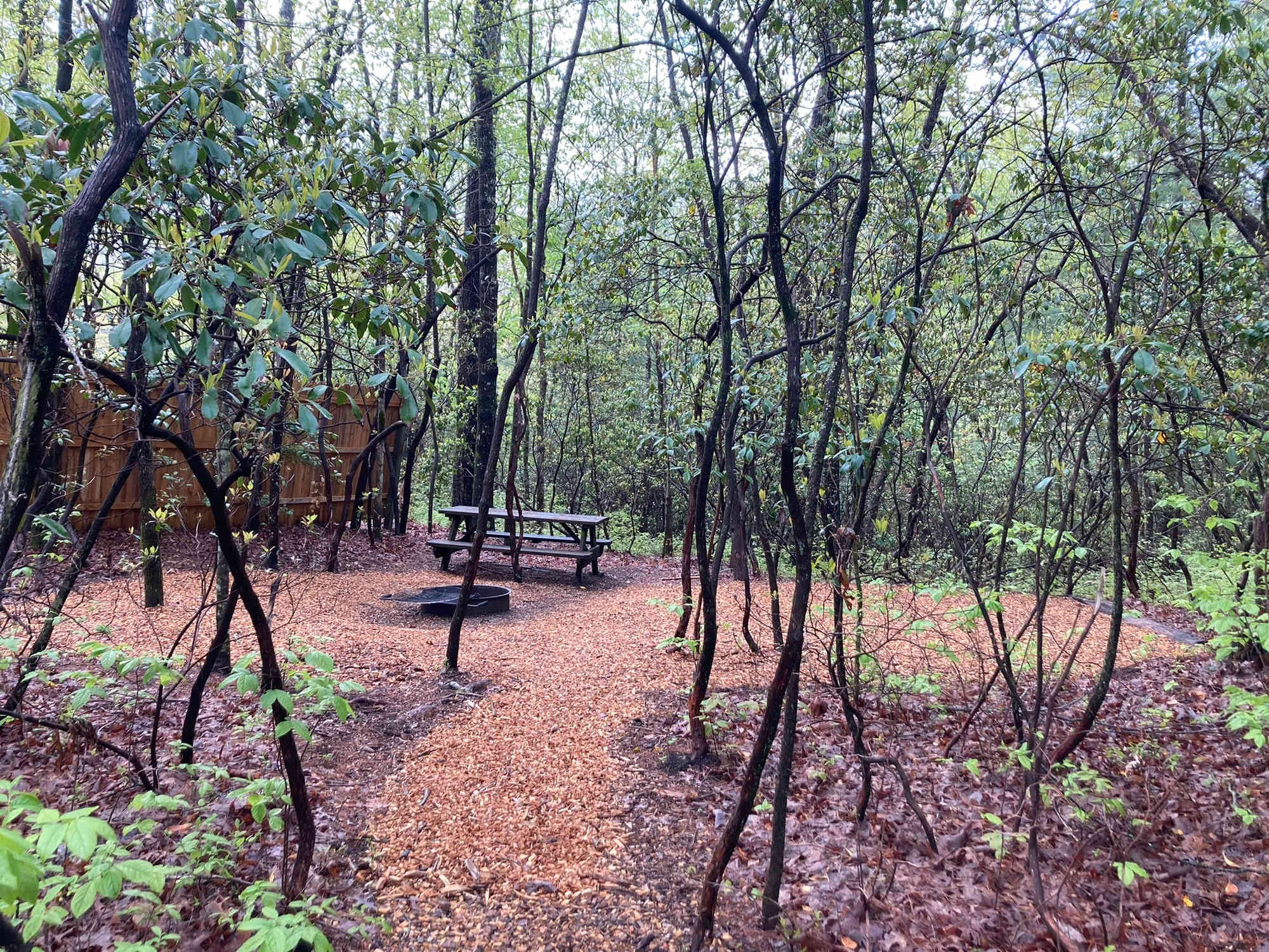 Picture of the site