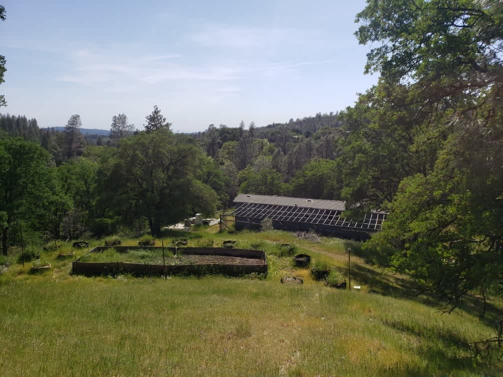 Quiet Grass Valley