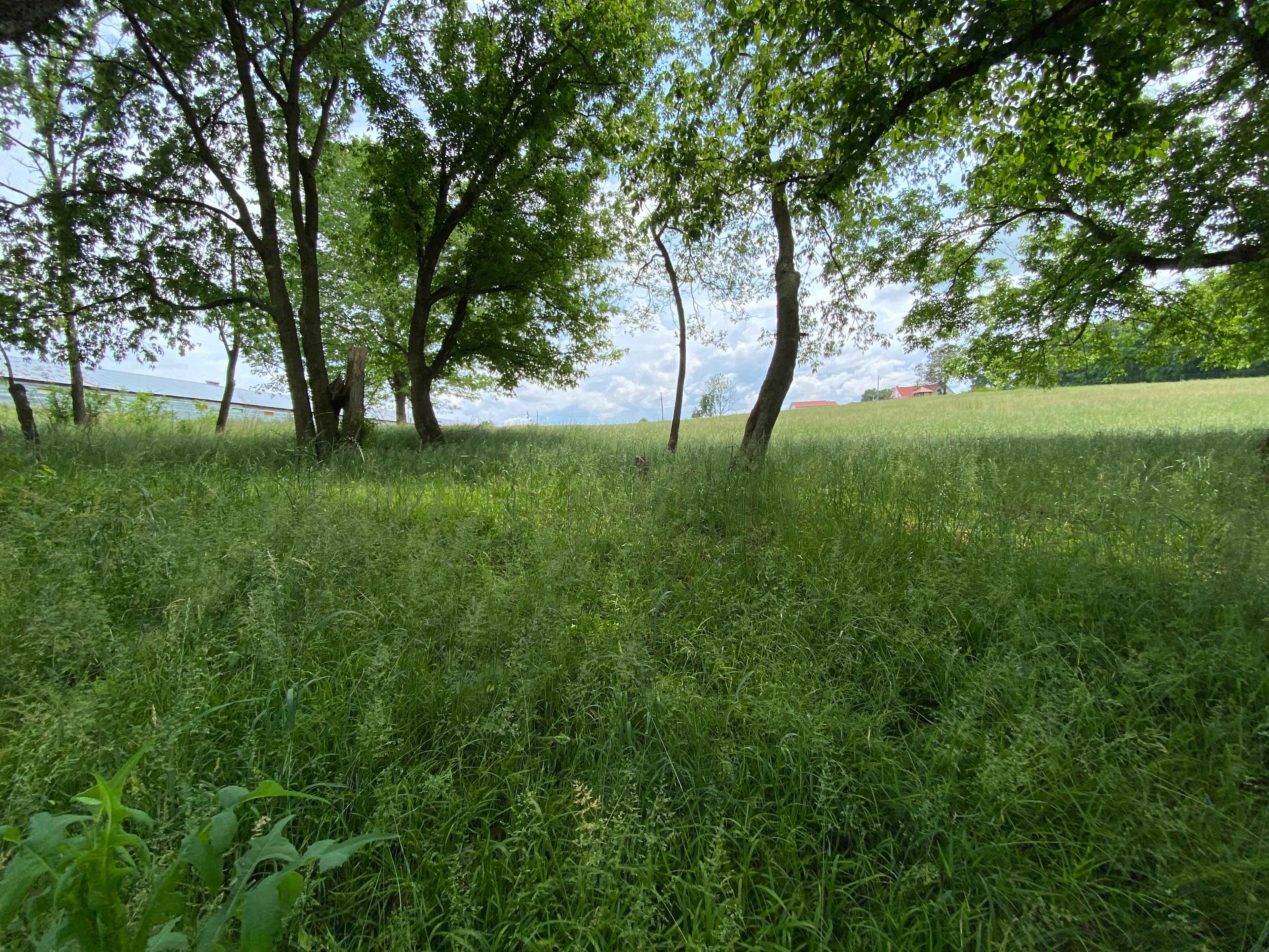 TnMtnFarm