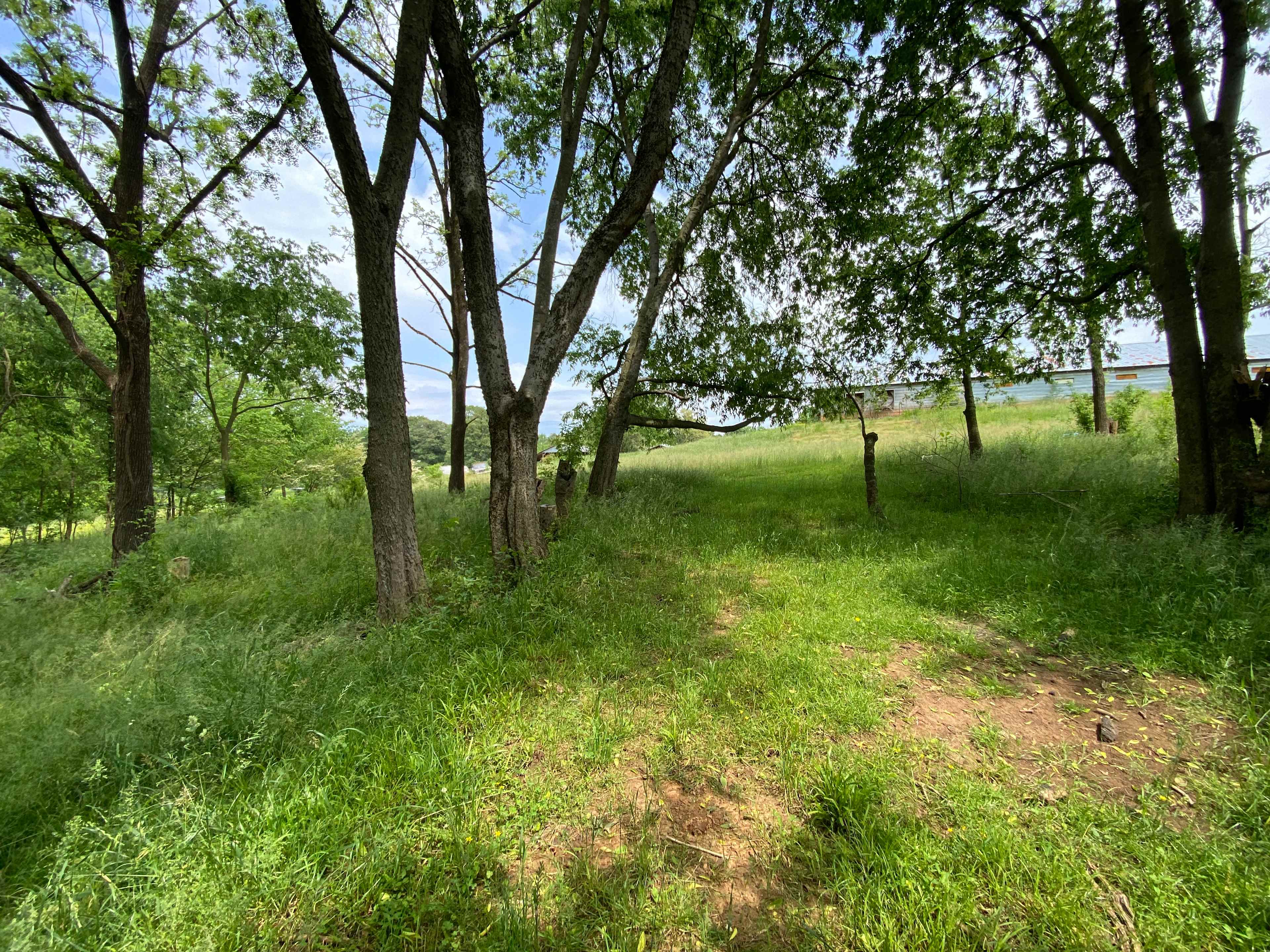 TnMtnFarm