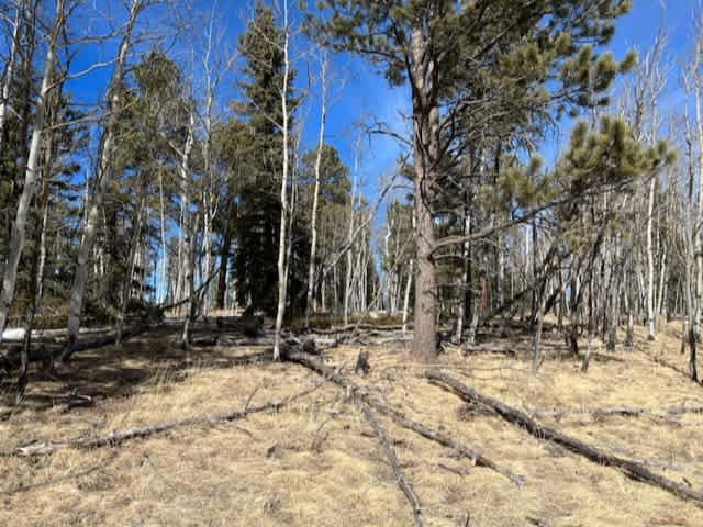 Aspen Valley Campground