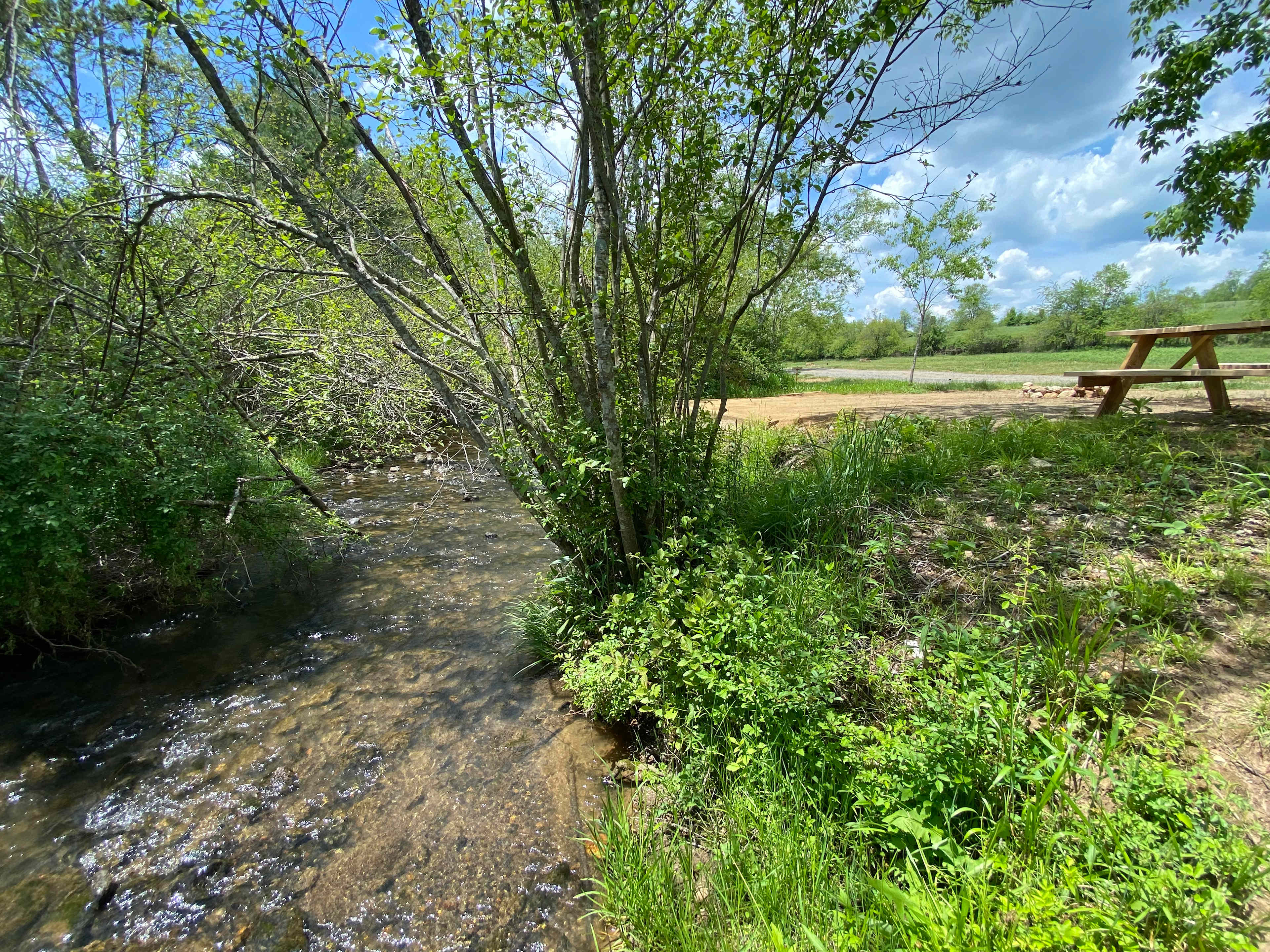 Picture of the site