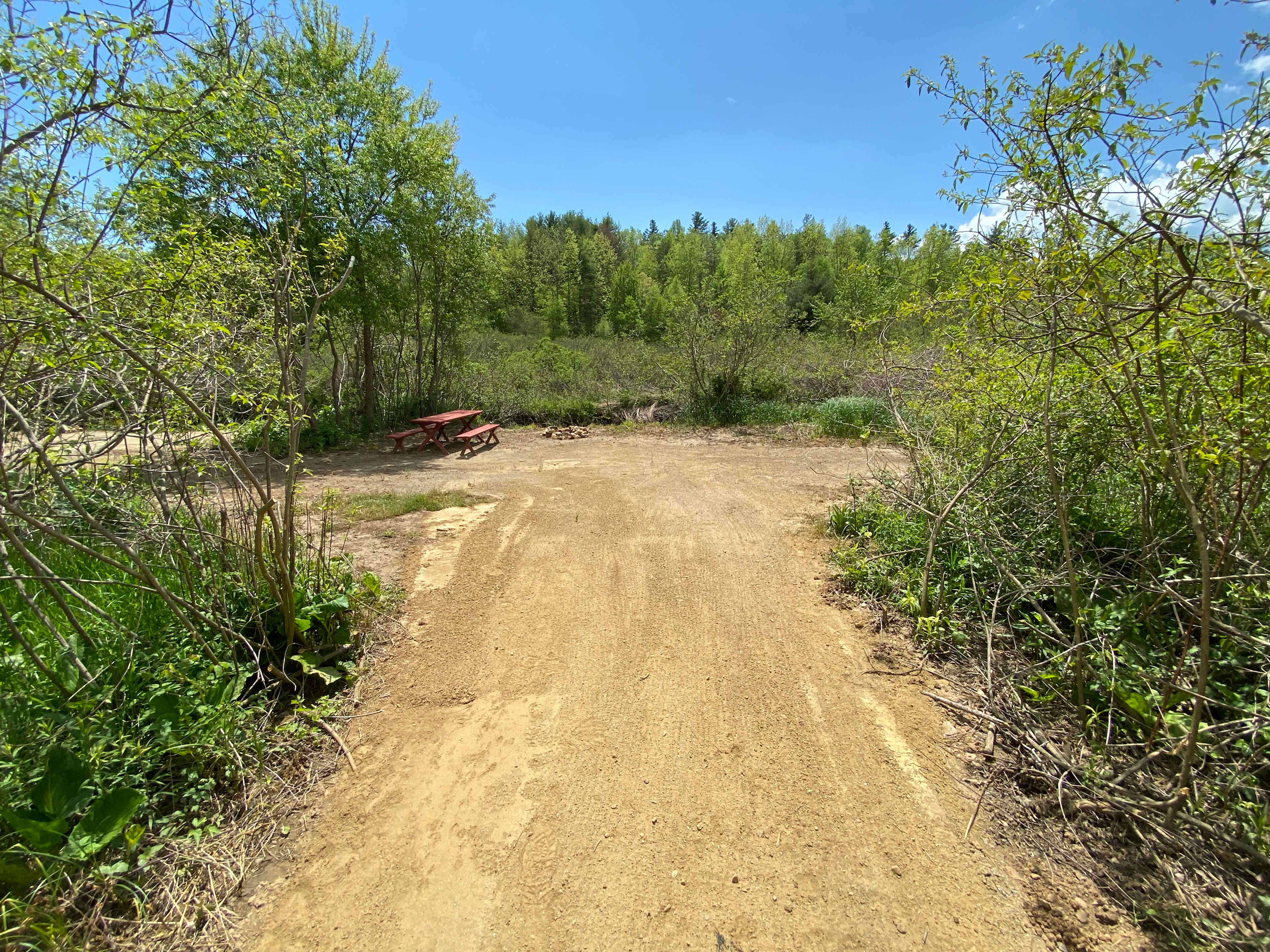 Picture of the site